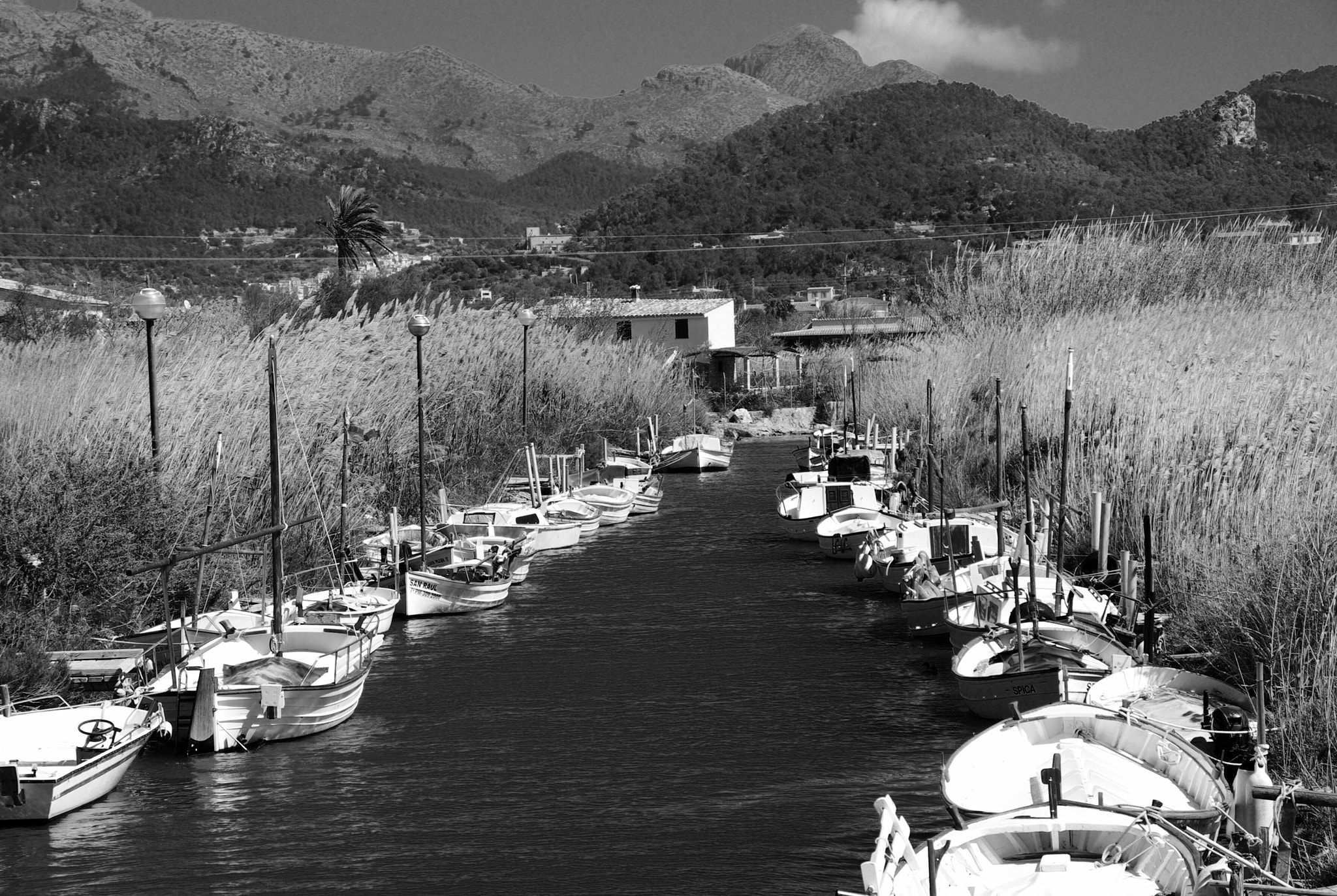 Pentax K10D sample photo. Safe haven photography