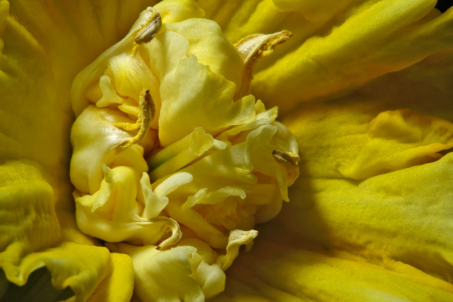 100mm F2.8 SSM sample photo. Nitty gritty daff photography