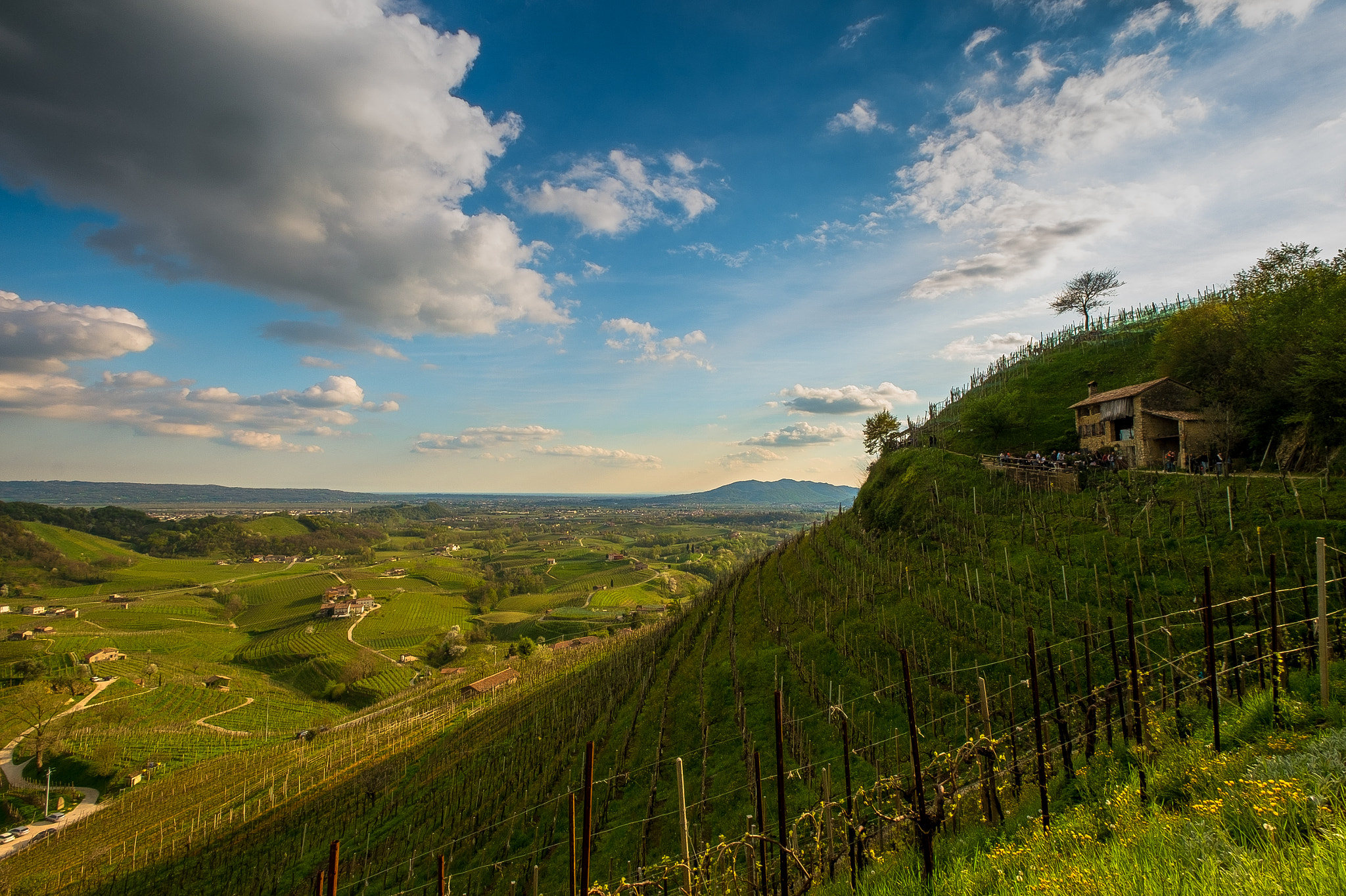 Fujifilm X-M1 + Fujifilm XF 10-24mm F4 R OIS sample photo. Osteria senz'oste photography