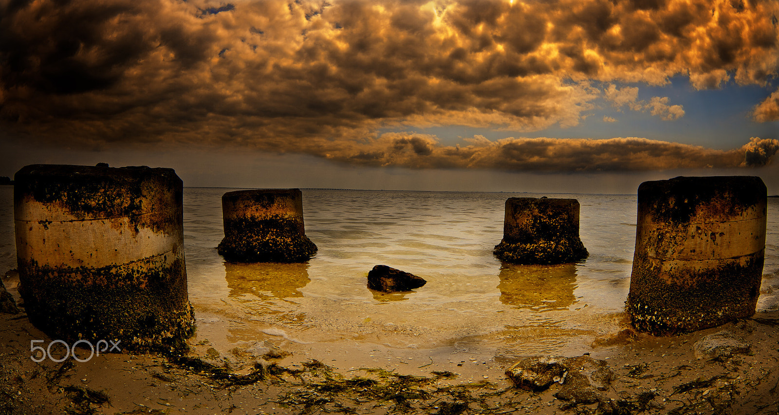 Canon EF 8-15mm F4L Fisheye USM sample photo. West tampa bay photography