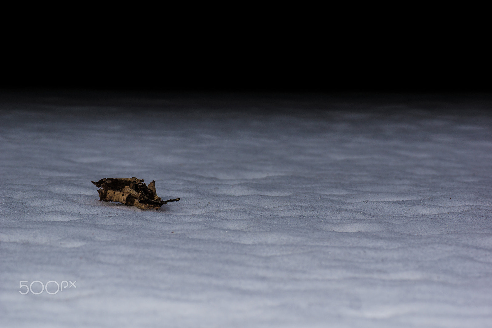 Tamron SP 70-300mm F4-5.6 Di USD sample photo. Floating on snow sea photography