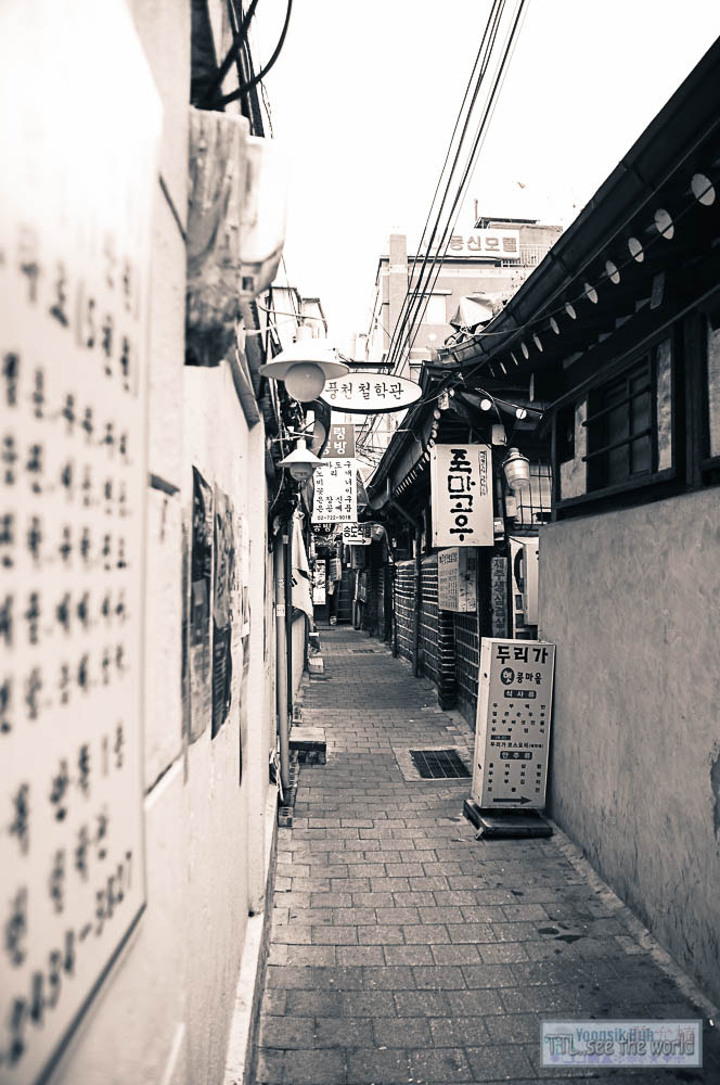 Nikon D2X + Sigma 18-50mm F2.8 EX DC Macro sample photo. 20160117,jong-ro,korea photography