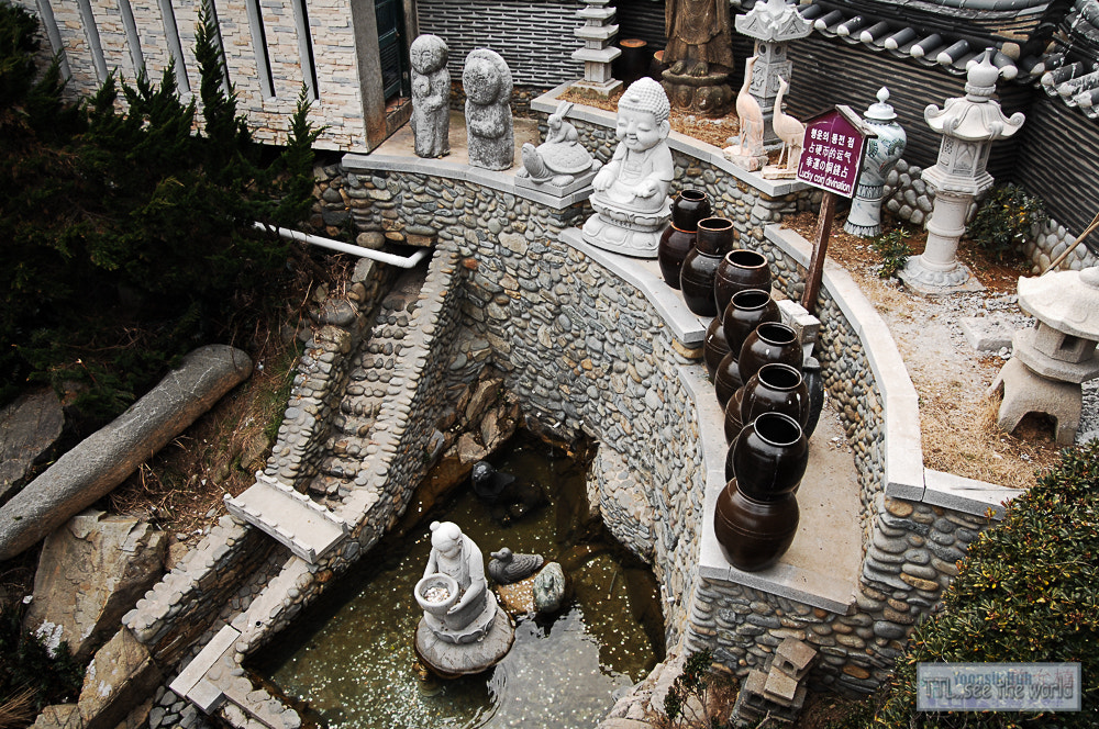 Nikon D2X + Sigma 18-50mm F2.8 EX DC Macro sample photo. 20160223,yonggung temple,busan photography