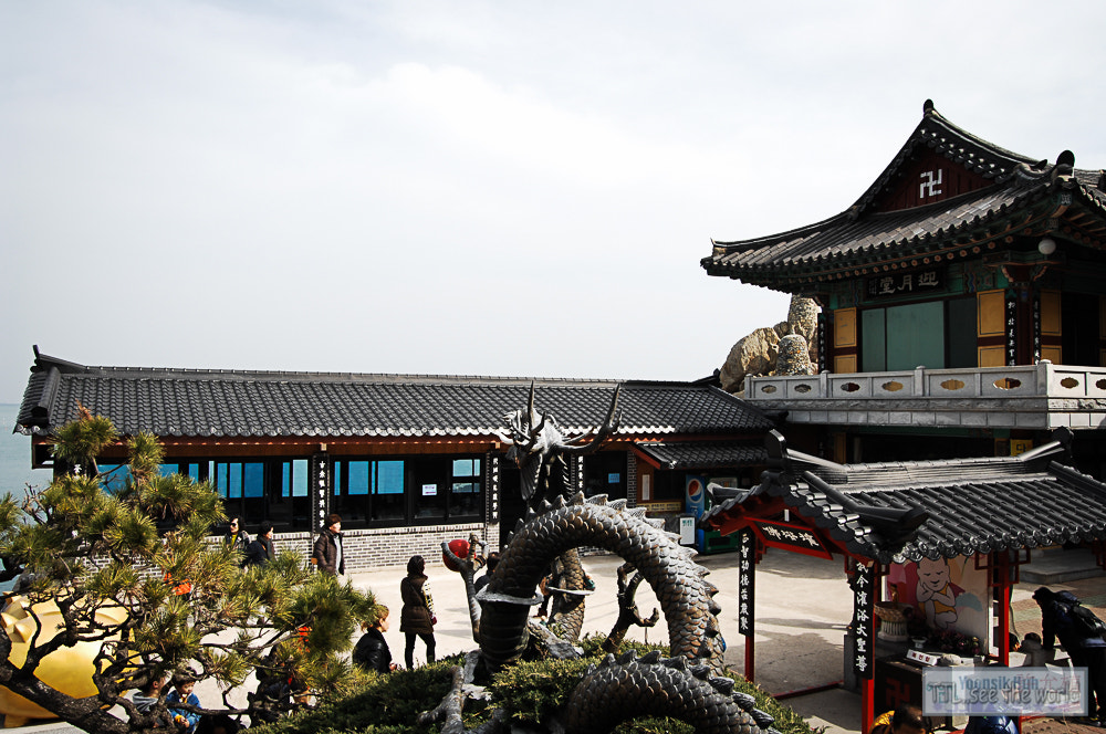 Nikon D2X + Sigma 18-50mm F2.8 EX DC Macro sample photo. 20160223,yonggung temple,busan photography
