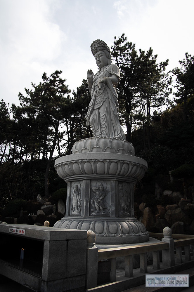 Nikon D2X + Sigma 18-50mm F2.8 EX DC Macro sample photo. 20160223,yonggung temple,busan photography