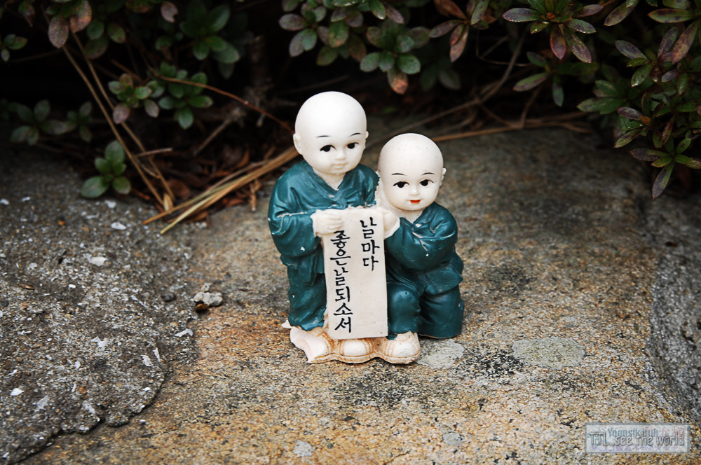 Nikon D2X + Sigma 18-50mm F2.8 EX DC Macro sample photo. 20160223,yonggung temple,busan photography