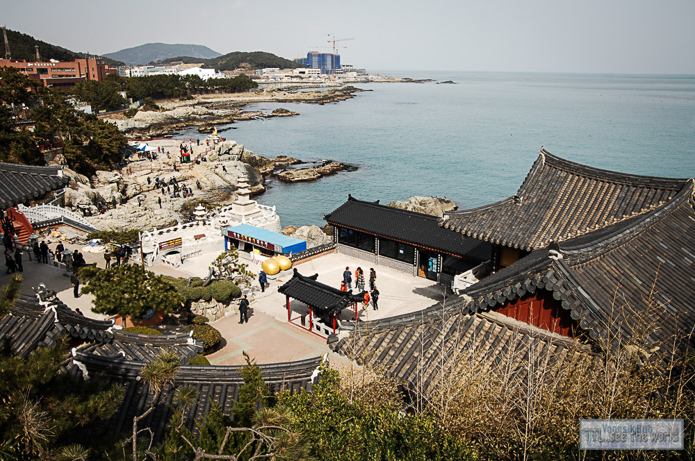 Nikon D2X + Sigma 18-50mm F2.8 EX DC Macro sample photo. 20160223,yonggung temple,busan photography