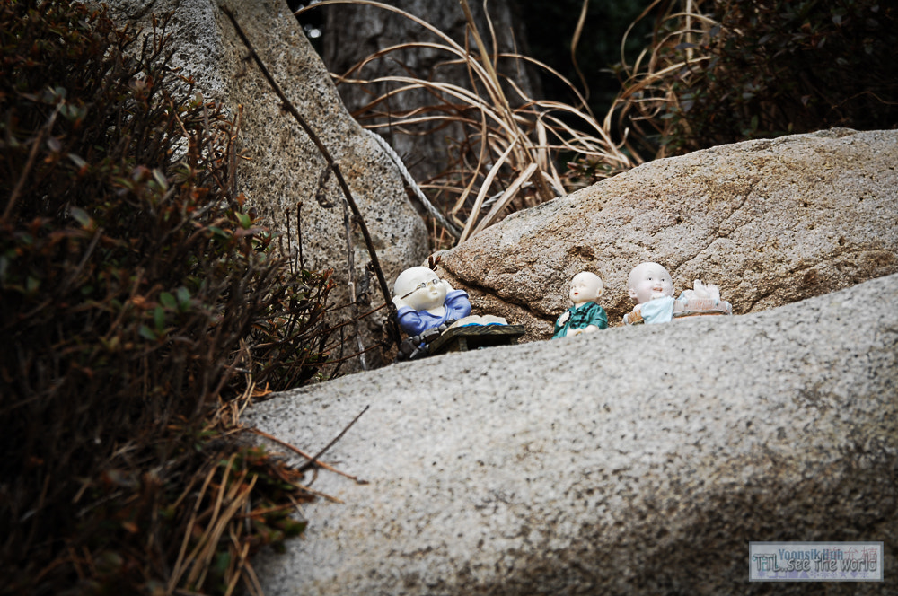 Nikon D2X + Sigma 18-50mm F2.8 EX DC Macro sample photo. 20160223,yonggung temple,busan photography
