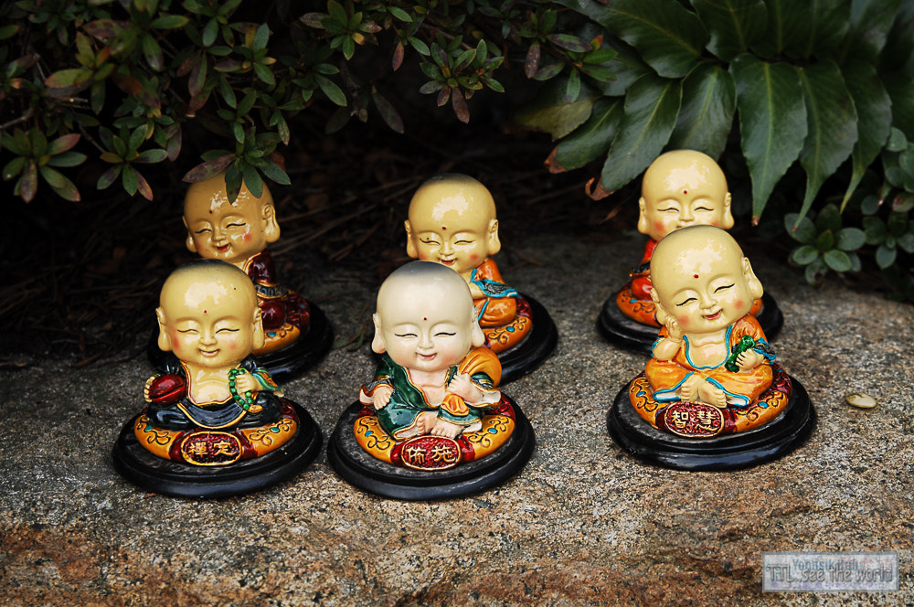 Nikon D2X + Sigma 18-50mm F2.8 EX DC Macro sample photo. 20160223,yonggung temple,busan photography