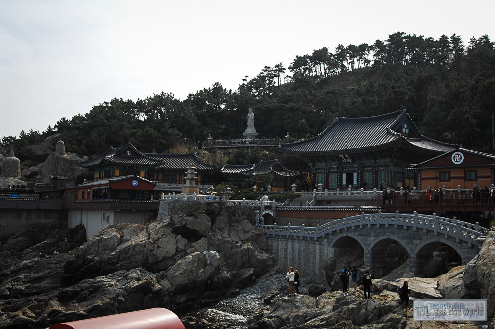 Nikon D2X + Sigma 18-50mm F2.8 EX DC Macro sample photo. 20160223,yonggung temple,busan photography