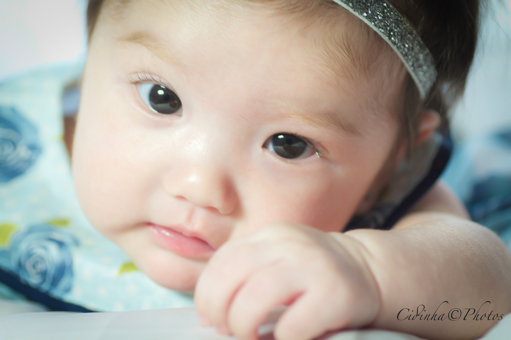 Tamron SP AF 90mm F2.8 Di Macro sample photo. Princesa catarina photography