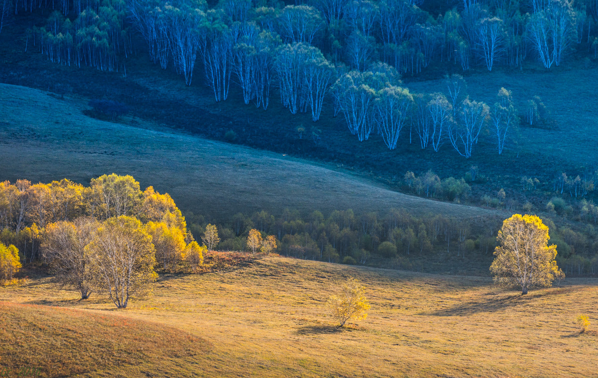 Sony SLT-A33 + Tamron SP 70-300mm F4-5.6 Di USD sample photo. Autumn days photography