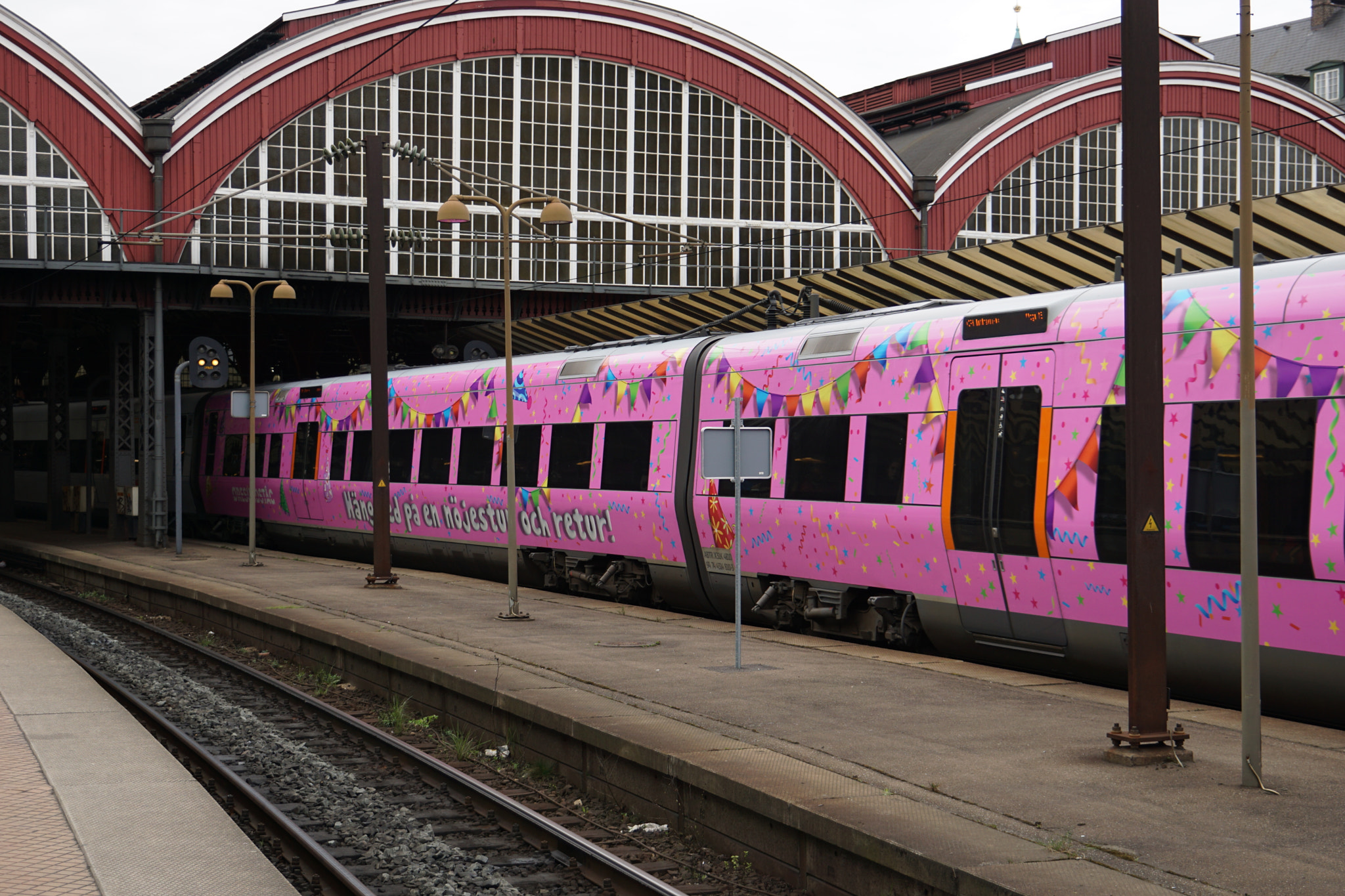 Sony a6000 + Tamron 18-200mm F3.5-6.3 Di III VC sample photo. Pink ( happy train ) photography