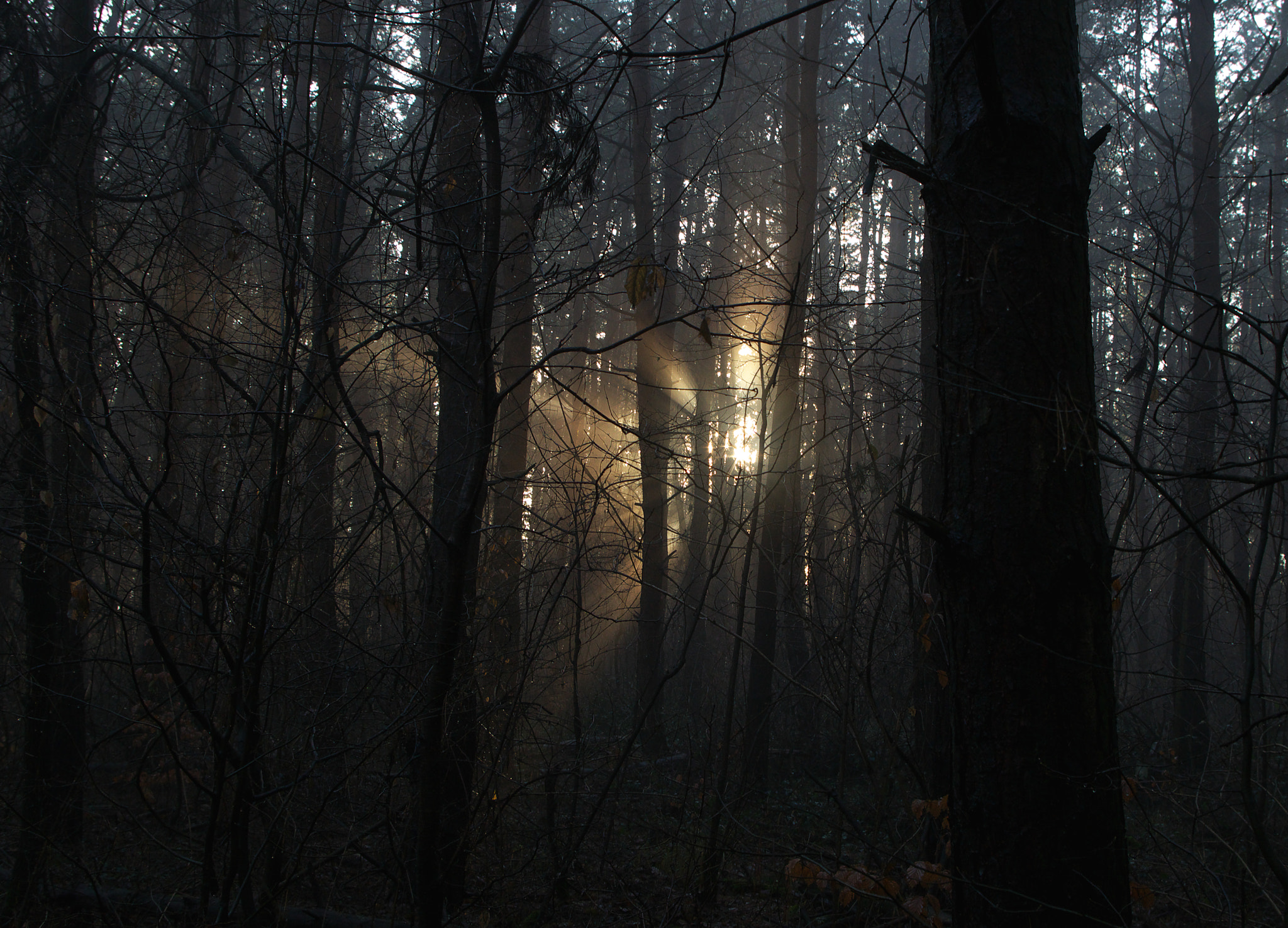 Pentax K-30 sample photo