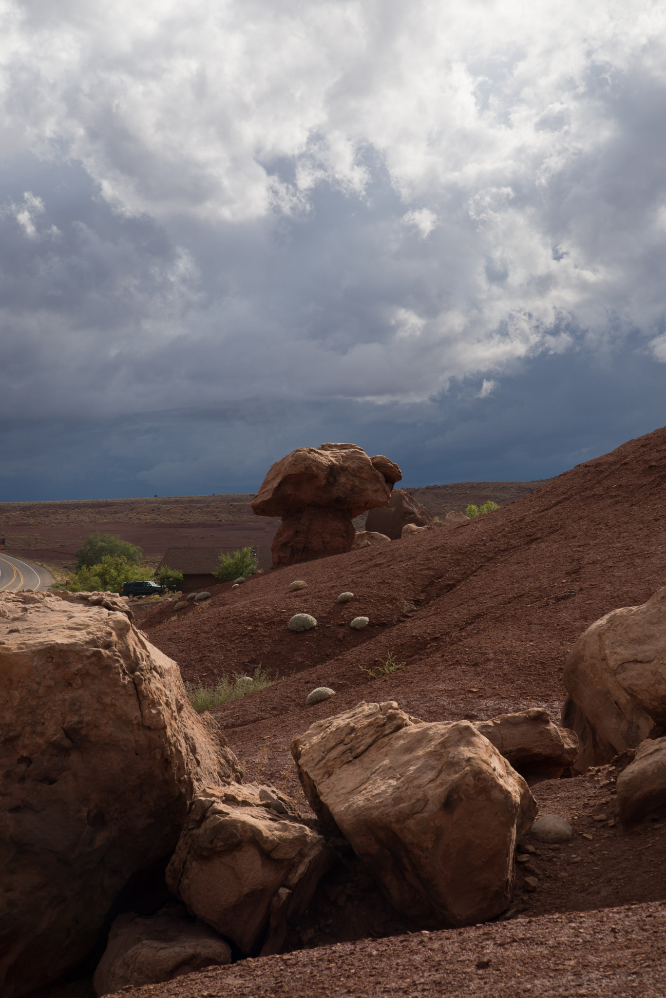 Nikon D600 sample photo. Going home. photography