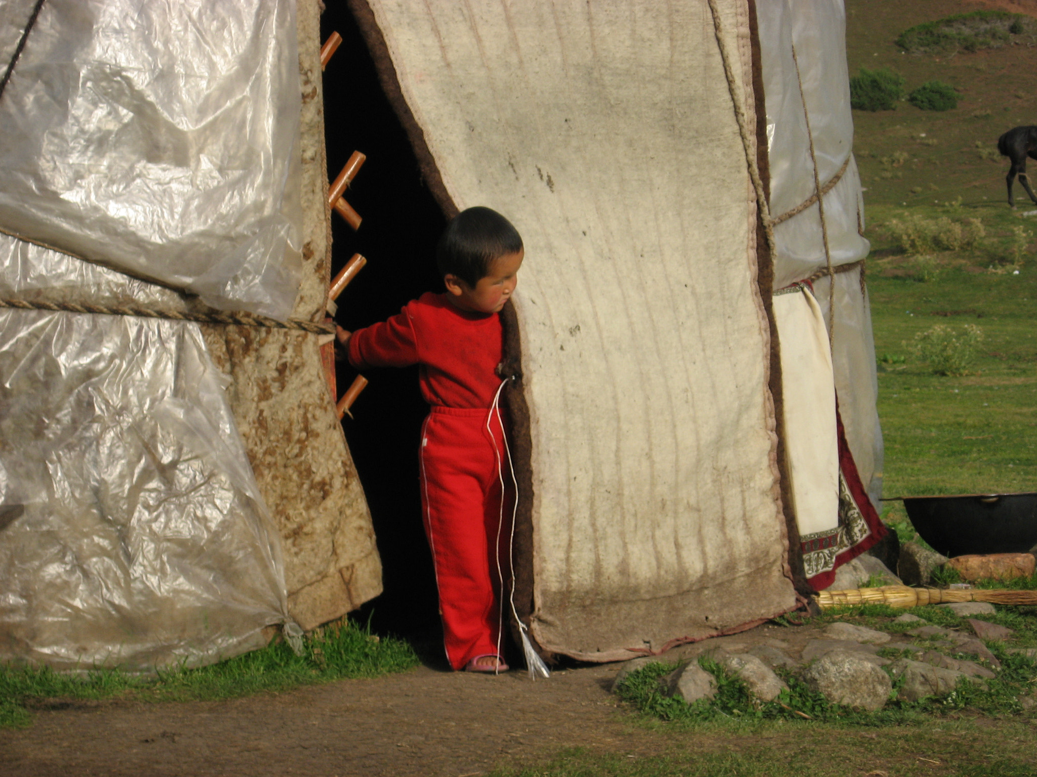 Canon POWERSHOT A540 sample photo. Nomad camp, kg photography