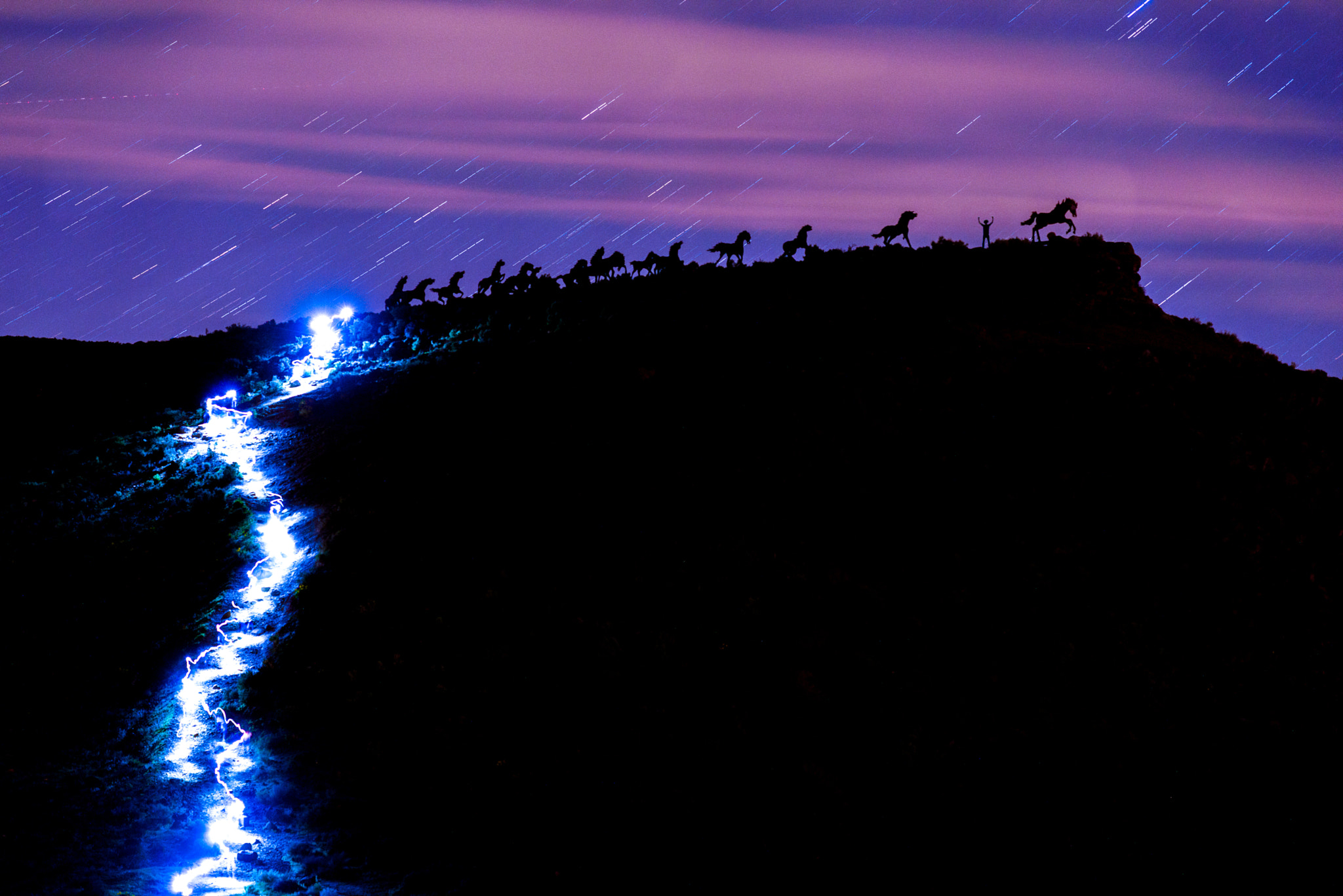 Nikon D810 + ZEISS Apo Sonnar T* 135mm F2 sample photo. Wild horses photography