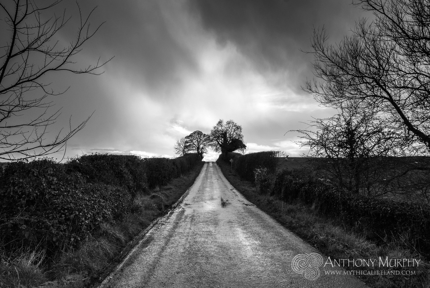 Sigma 12-24mm F4.5-5.6 EX DG Aspherical HSM sample photo. The road to newgrange photography