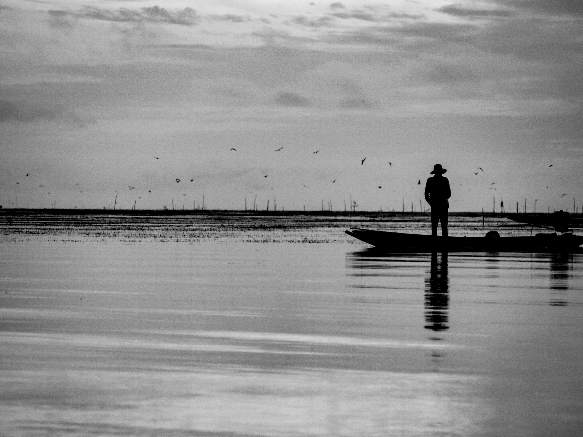 Olympus PEN E-PL7 sample photo. Stand alone photography