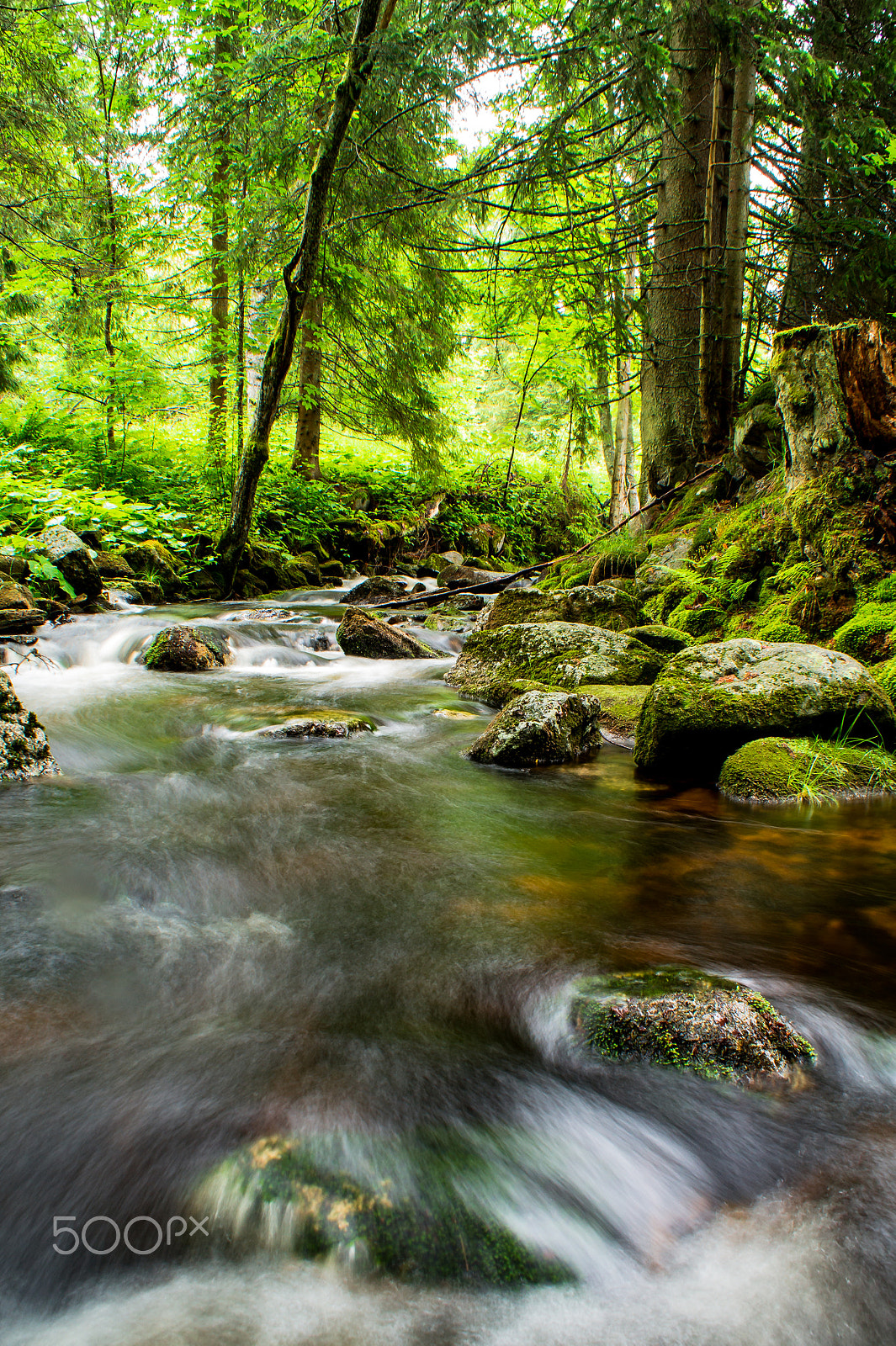 Sony DT 18-70mm F3.5-5.6 sample photo. A small creek in the bavarian forest iii photography