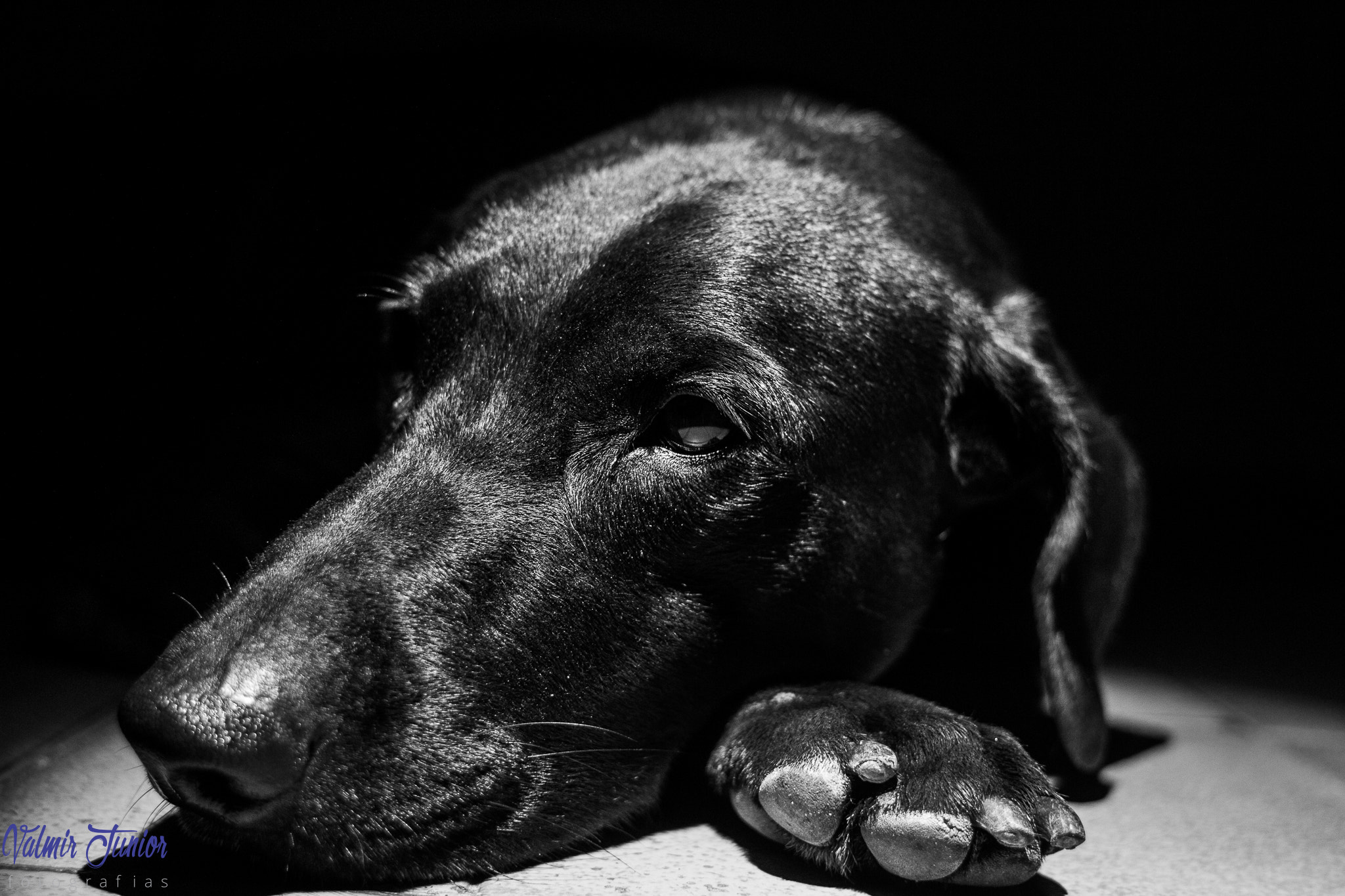 Canon EF 28mm F1.8 USM sample photo. P & b photography