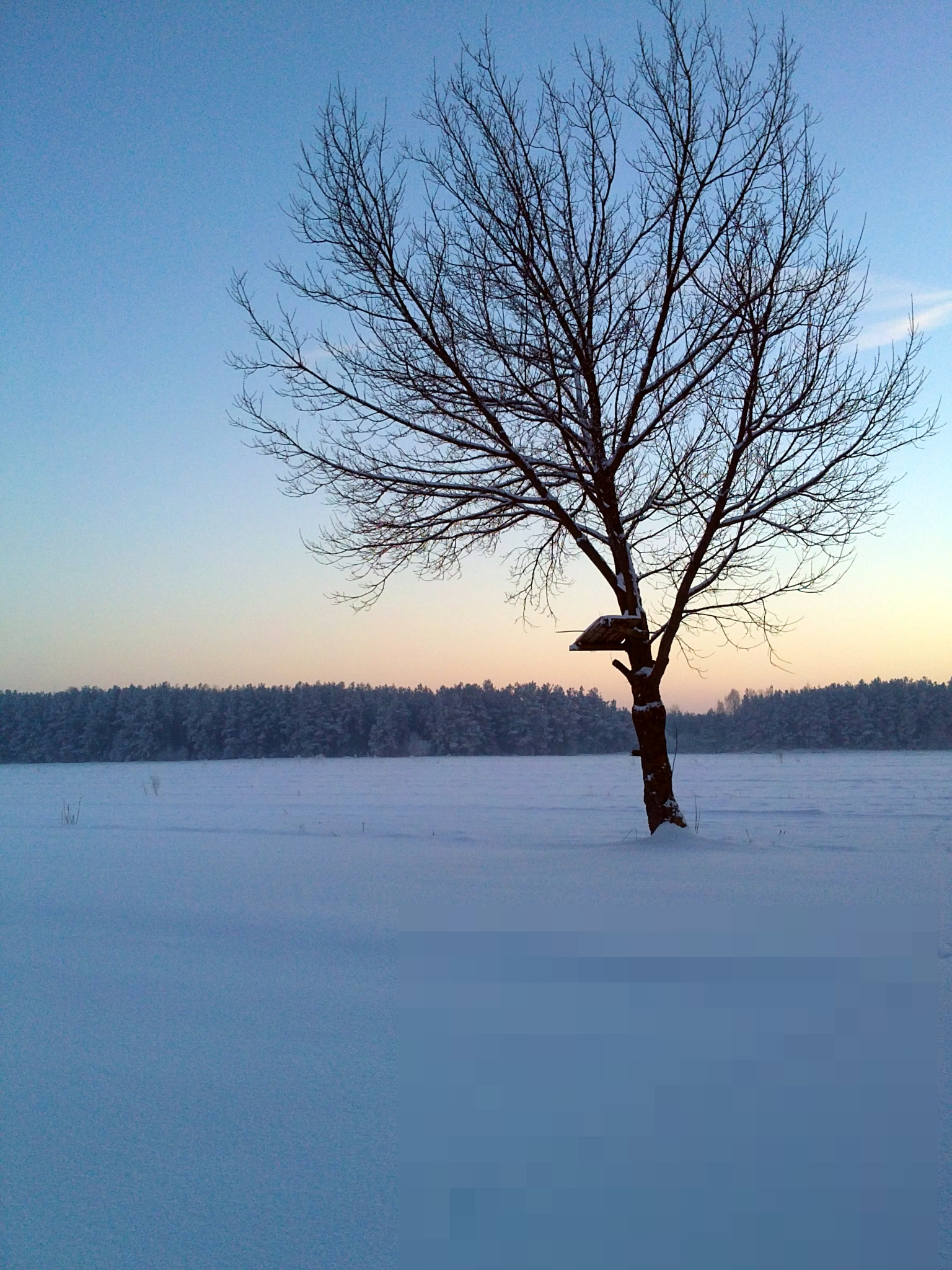 Sony Ericsson U5i sample photo. 20130125491.jpg photography