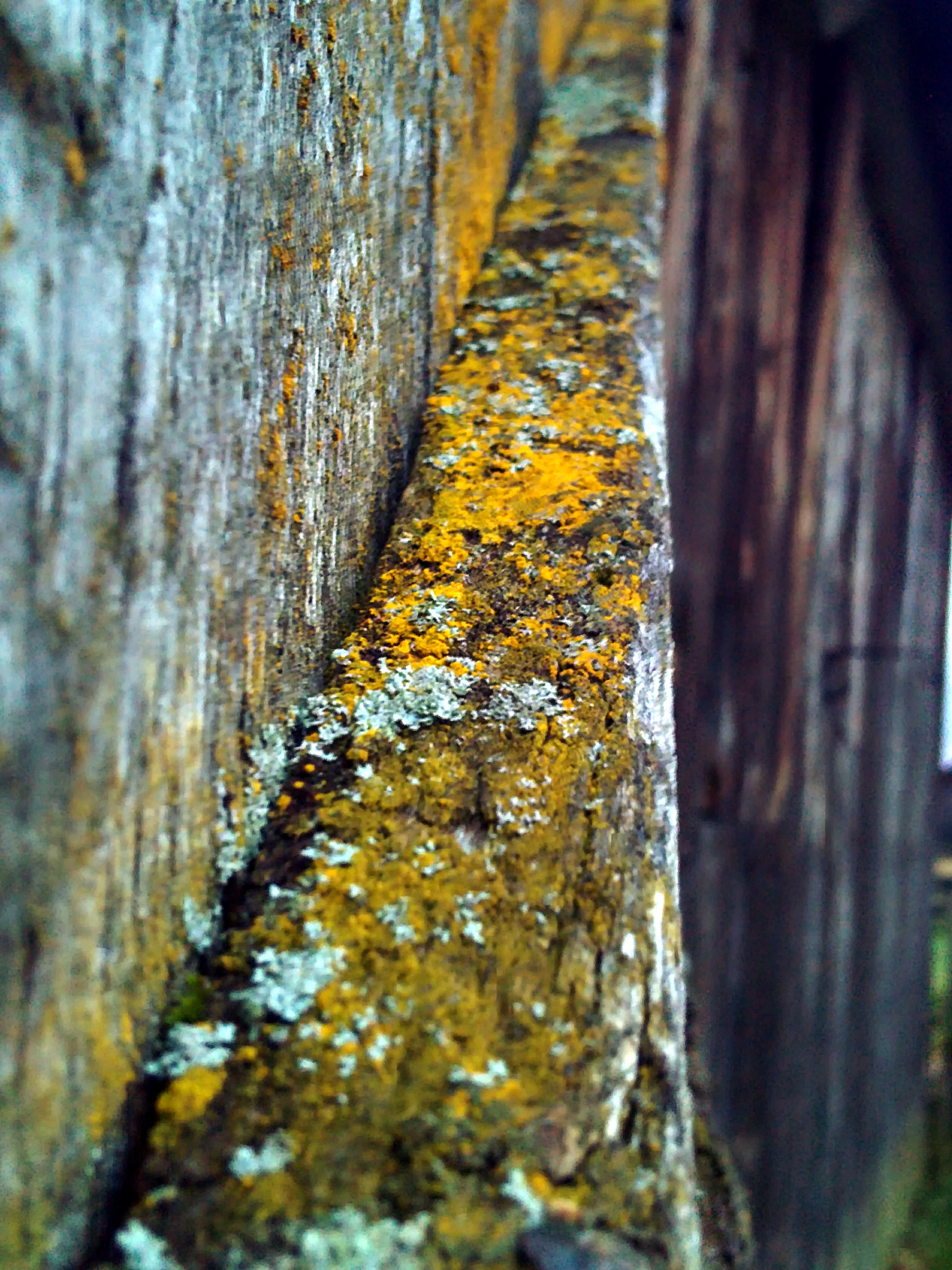 Sony Ericsson U5i sample photo. Inaczej photography