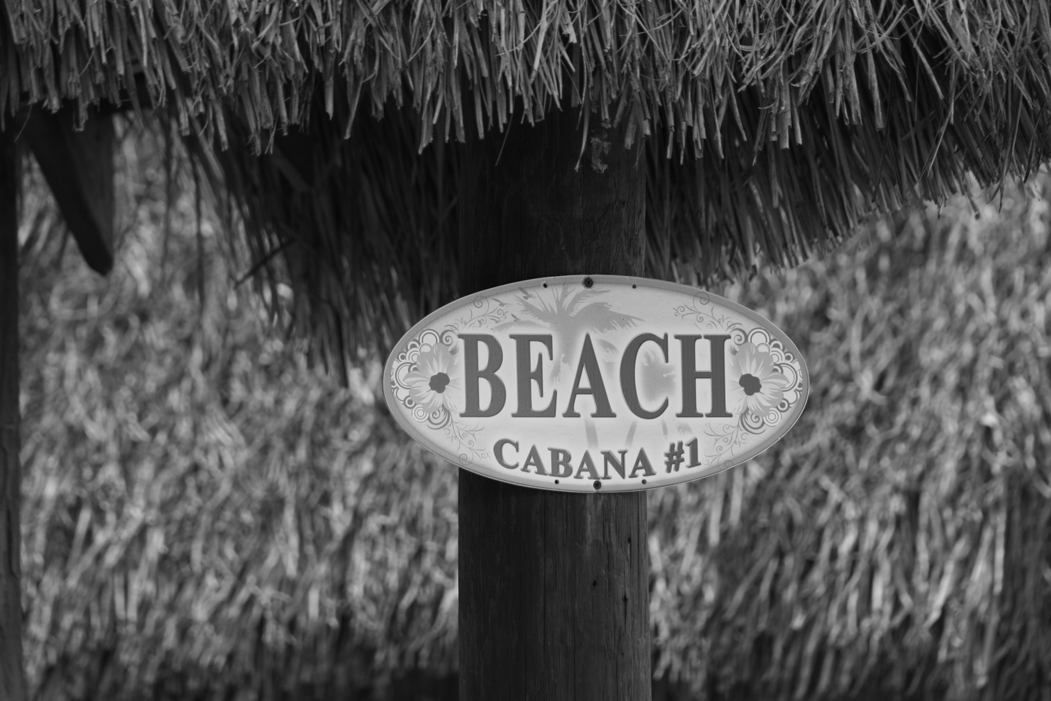 Canon EF 75-300mm f/4-5.6 USM sample photo. Cabana photography