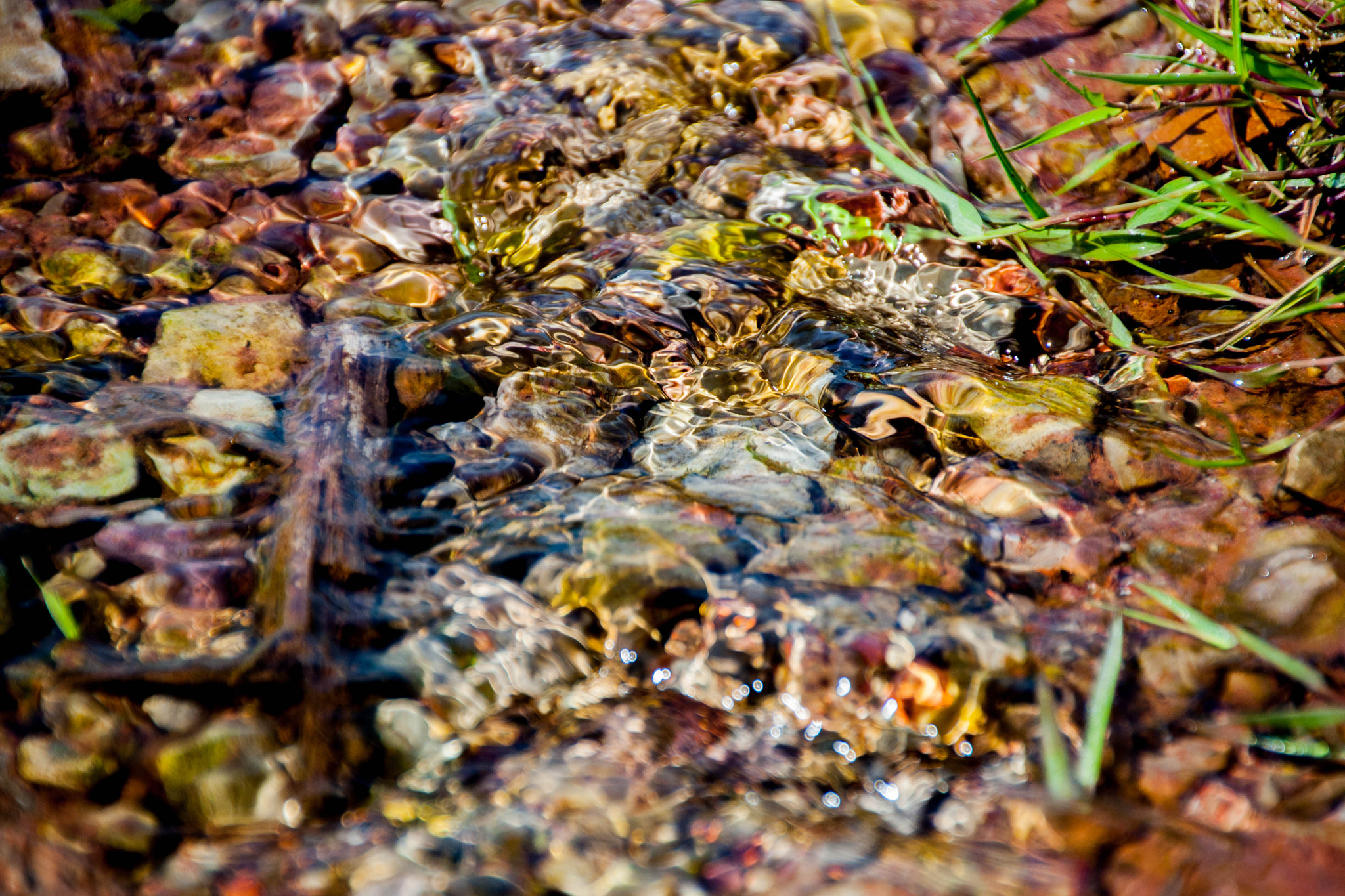 Canon EOS 1000D (EOS Digital Rebel XS / EOS Kiss F) sample photo. Background of pebbles seen through rippling water photography