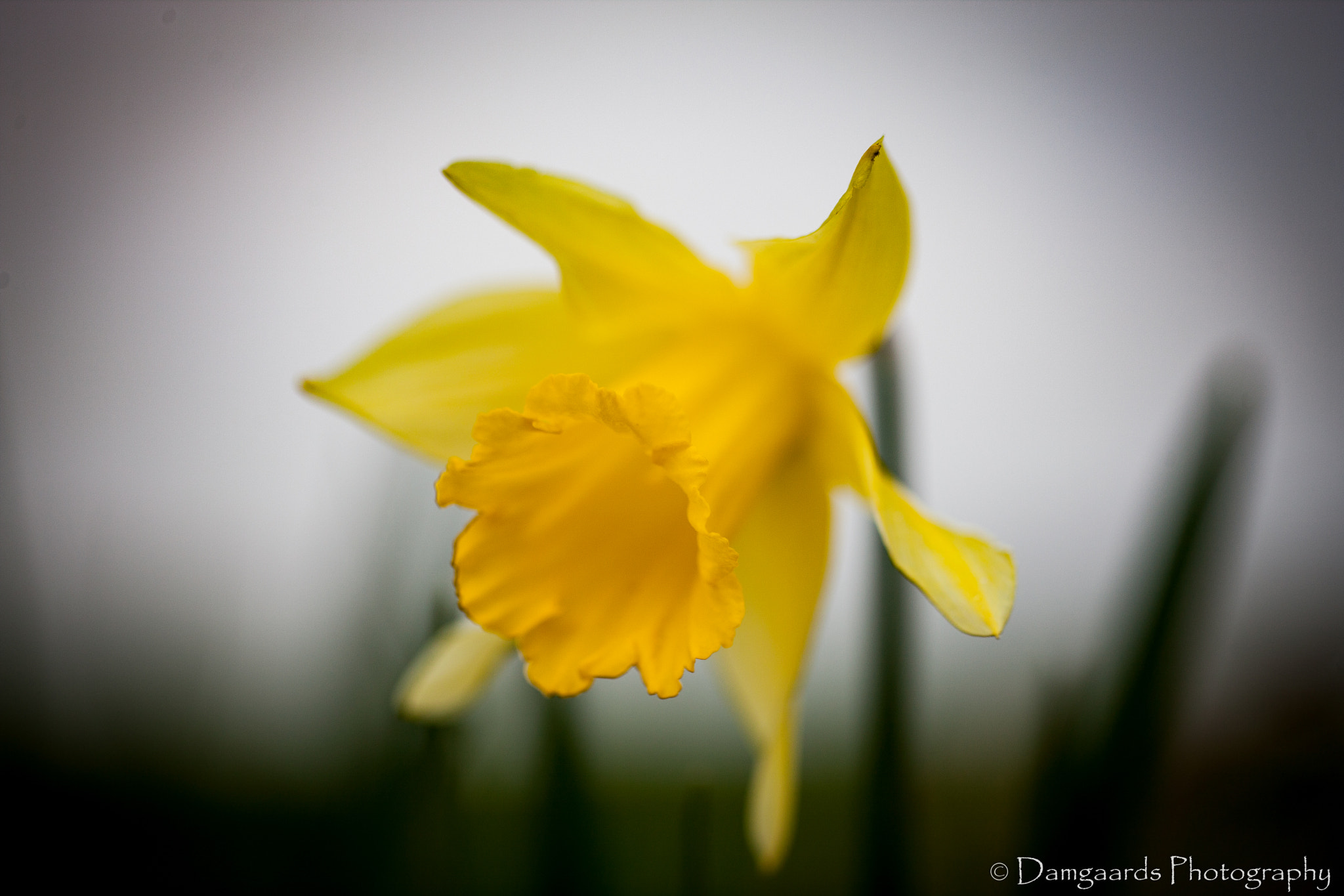 Canon EOS-1Ds Mark III sample photo. 5l0r9769.jpg photography