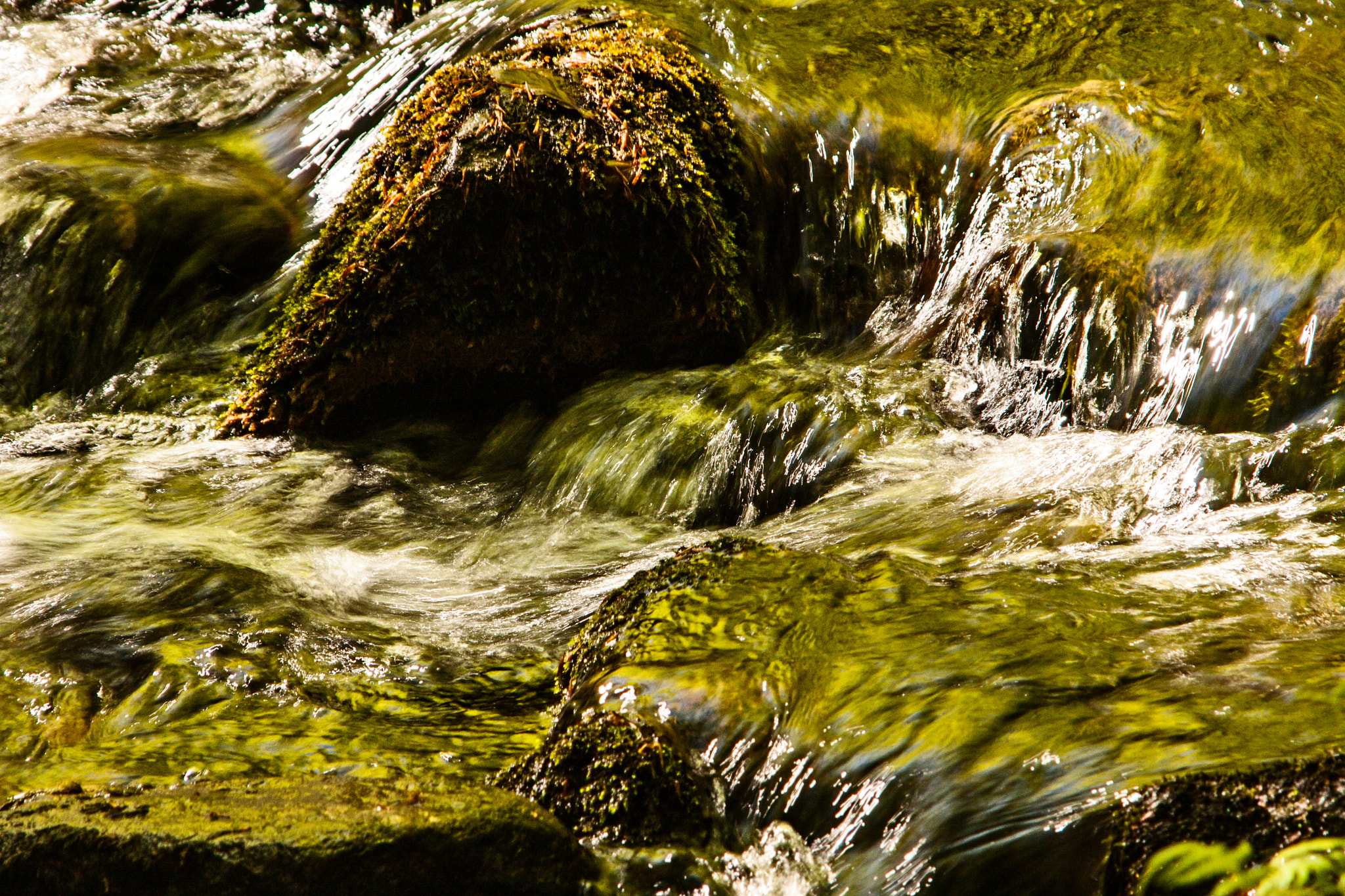 Canon EOS 40D sample photo. Söderåsens np photography