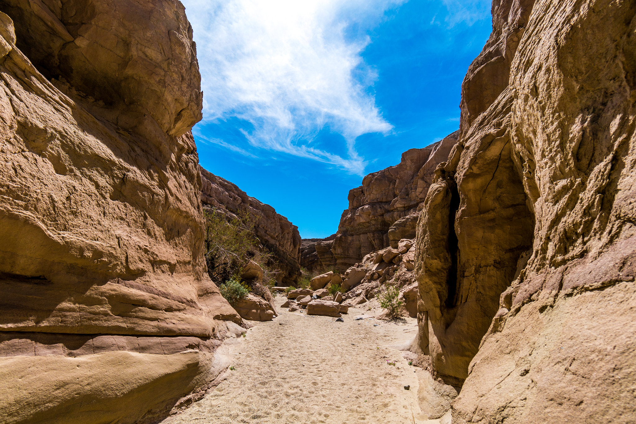Sony a7R II + Sony E 10-18mm F4 OSS sample photo. Dsc05257-14.jpg photography
