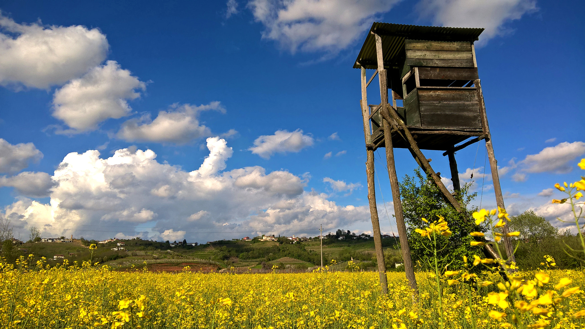 Microsoft Lumia 640 XL sample photo. Springtime in collio photography
