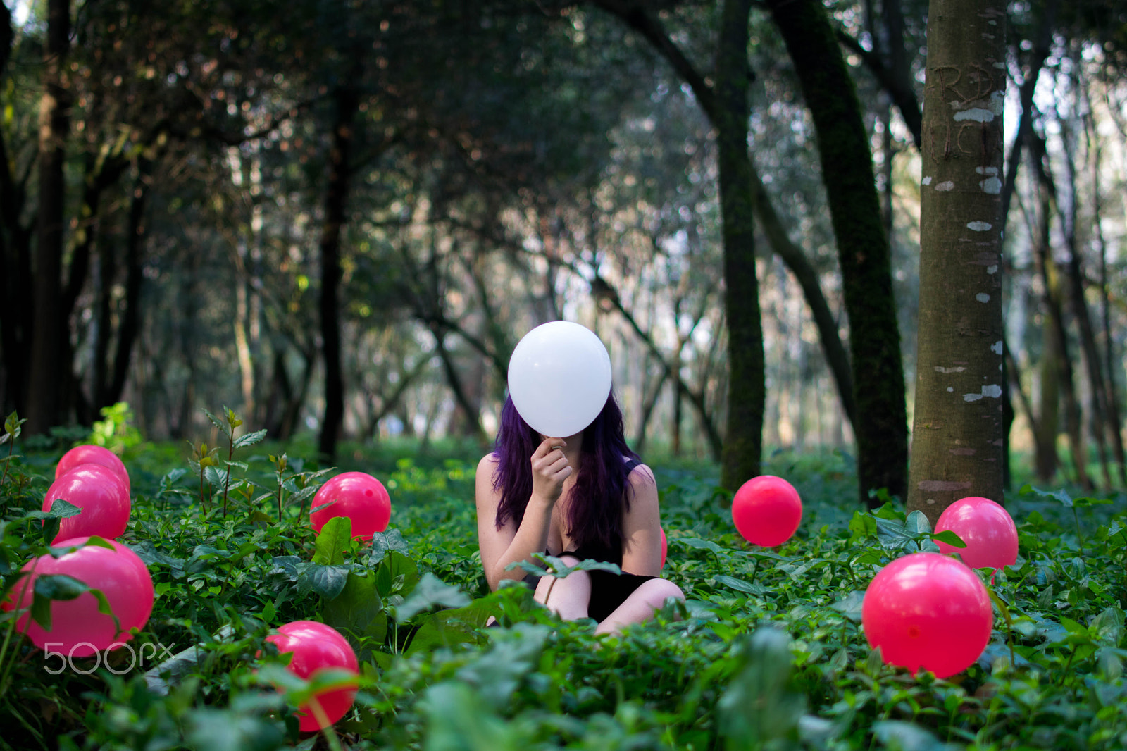 Samyang 35mm F1.4 AS UMC sample photo. Hide photography