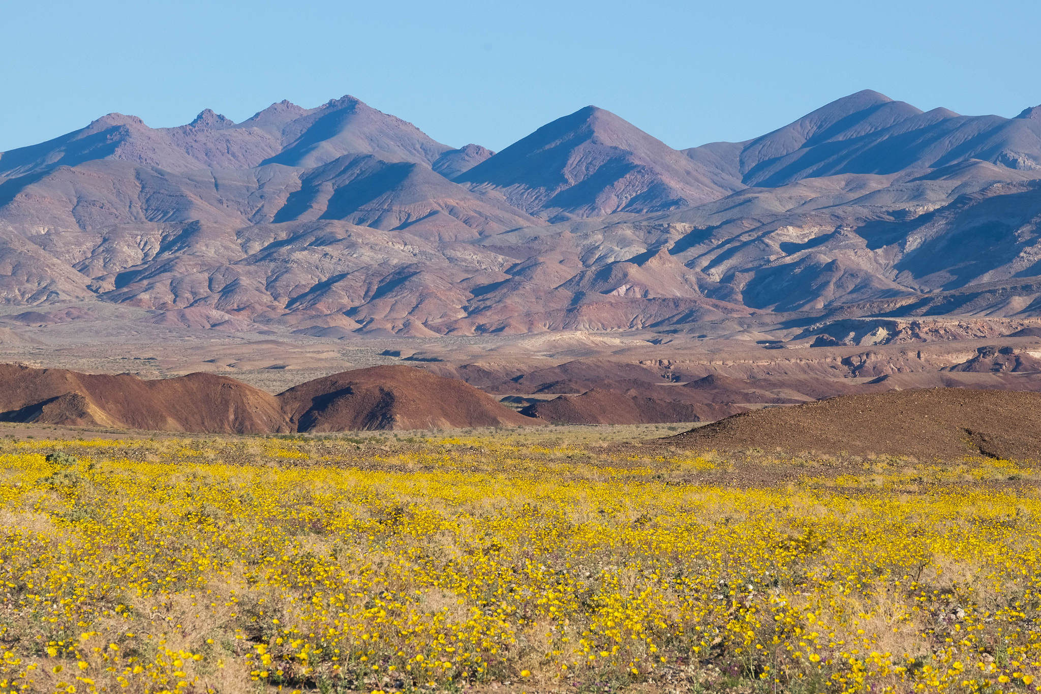 Fujifilm X-T10 + Fujifilm XC 50-230mm F4.5-6.7 OIS II sample photo. Gold fields and hills - death valley photography