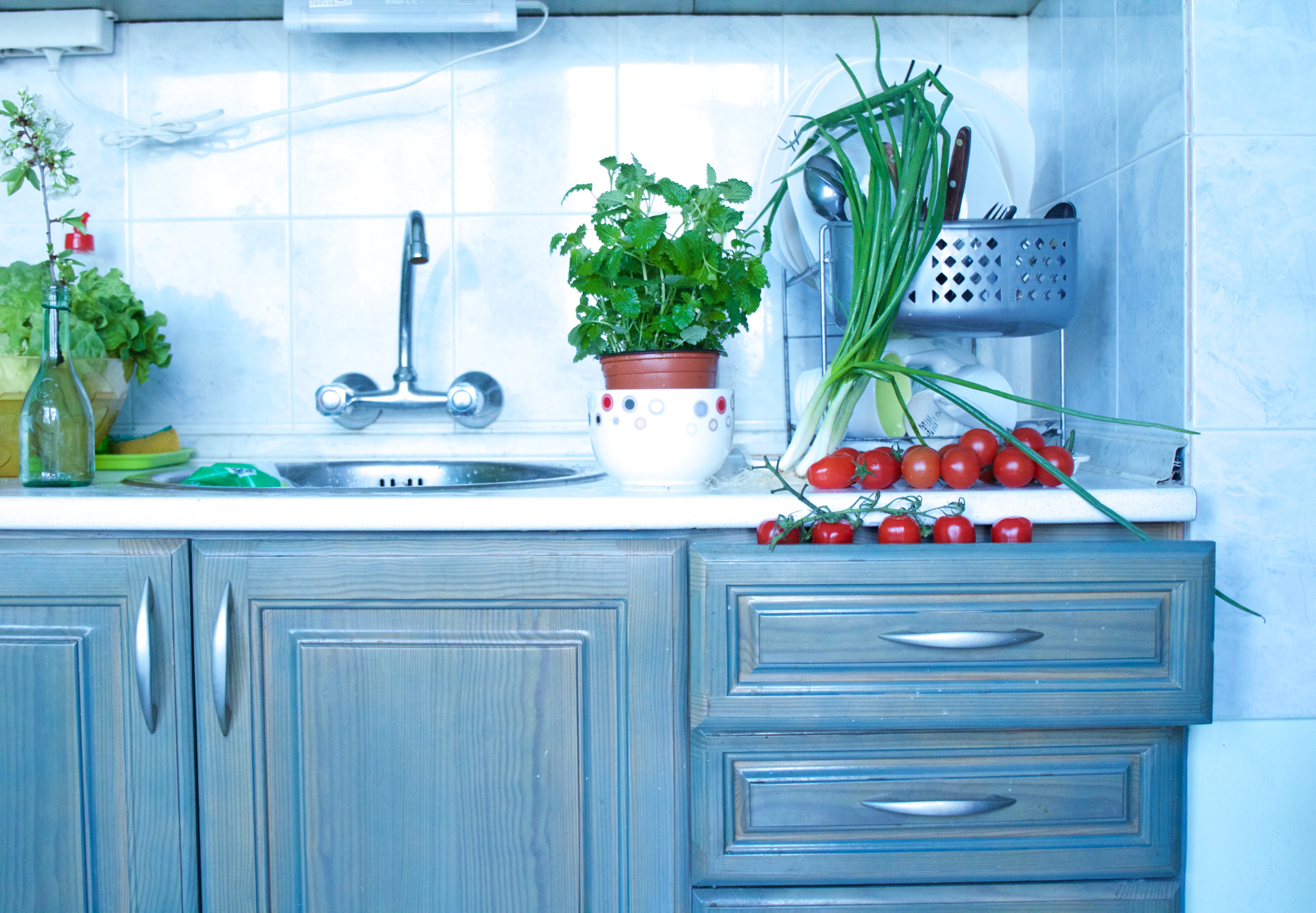 Canon EF 24-70mm F4L IS USM sample photo. Fresh union and mint in the kitchen photography