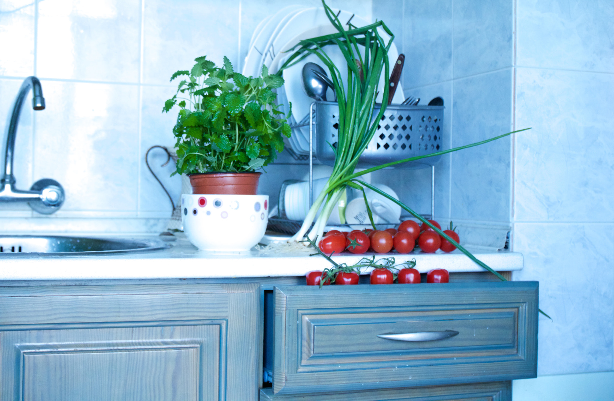 Canon EF 24-70mm F4L IS USM sample photo. Cherry tomatoes grow up in the kitchen photography