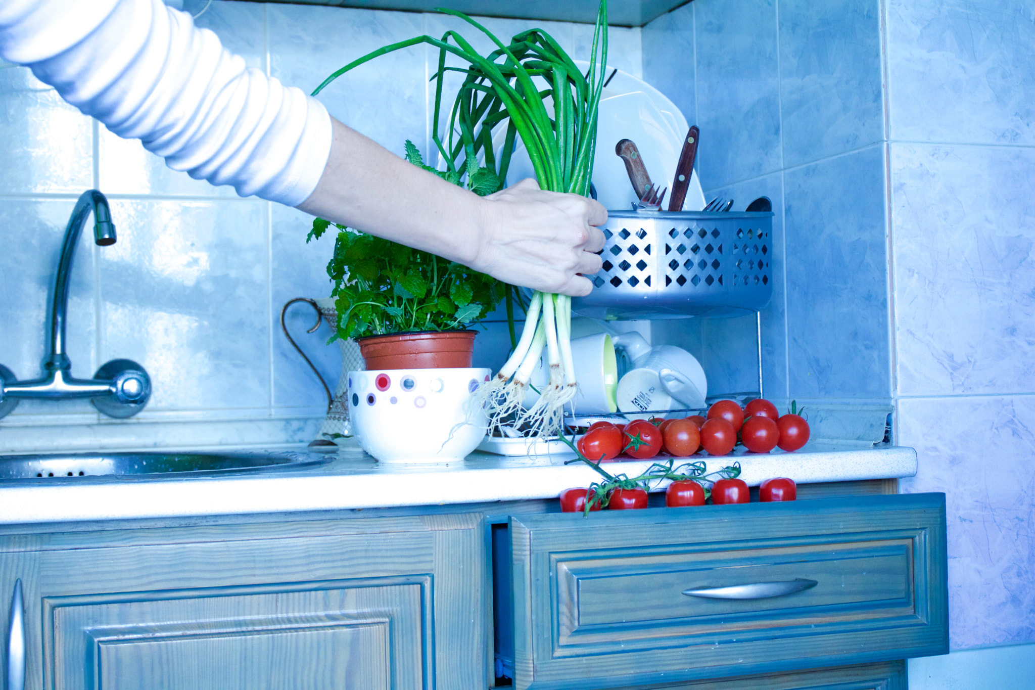 Canon EF 24-70mm F4L IS USM sample photo. Cherry tomatoes grow up in the kitchen drawer photography