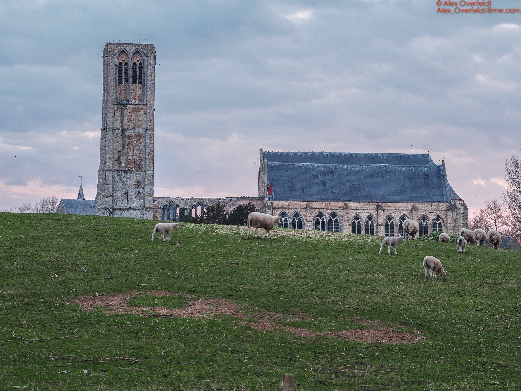 Olympus PEN-F + Panasonic Leica DG Nocticron 42.5mm F1.2 ASPH OIS sample photo. Damme church early morning photography