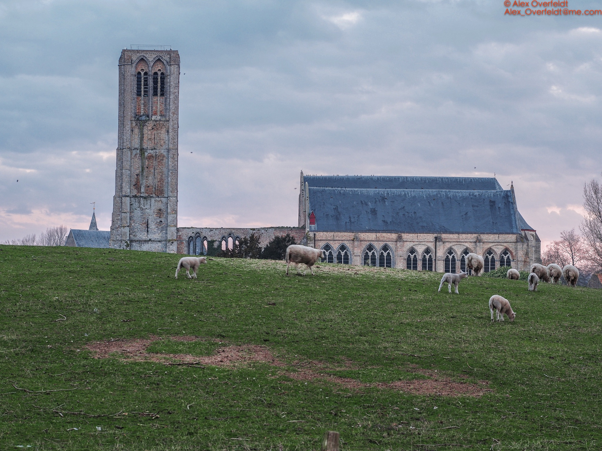 Panasonic Leica DG Nocticron 42.5mm F1.2 ASPH OIS sample photo. Damme church early morning photography