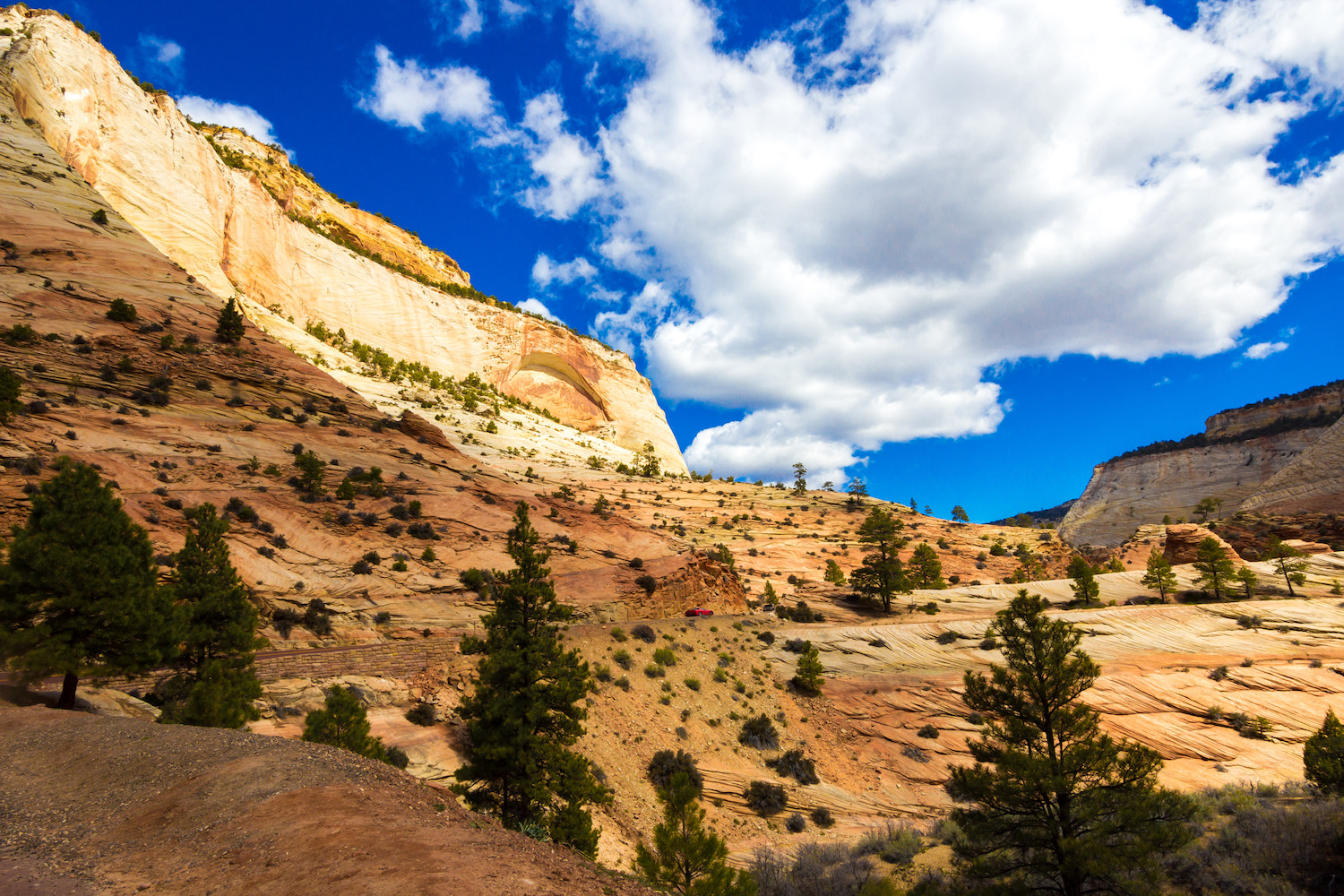 Canon EF-S 10-22mm F3.5-4.5 USM sample photo. In zion photography