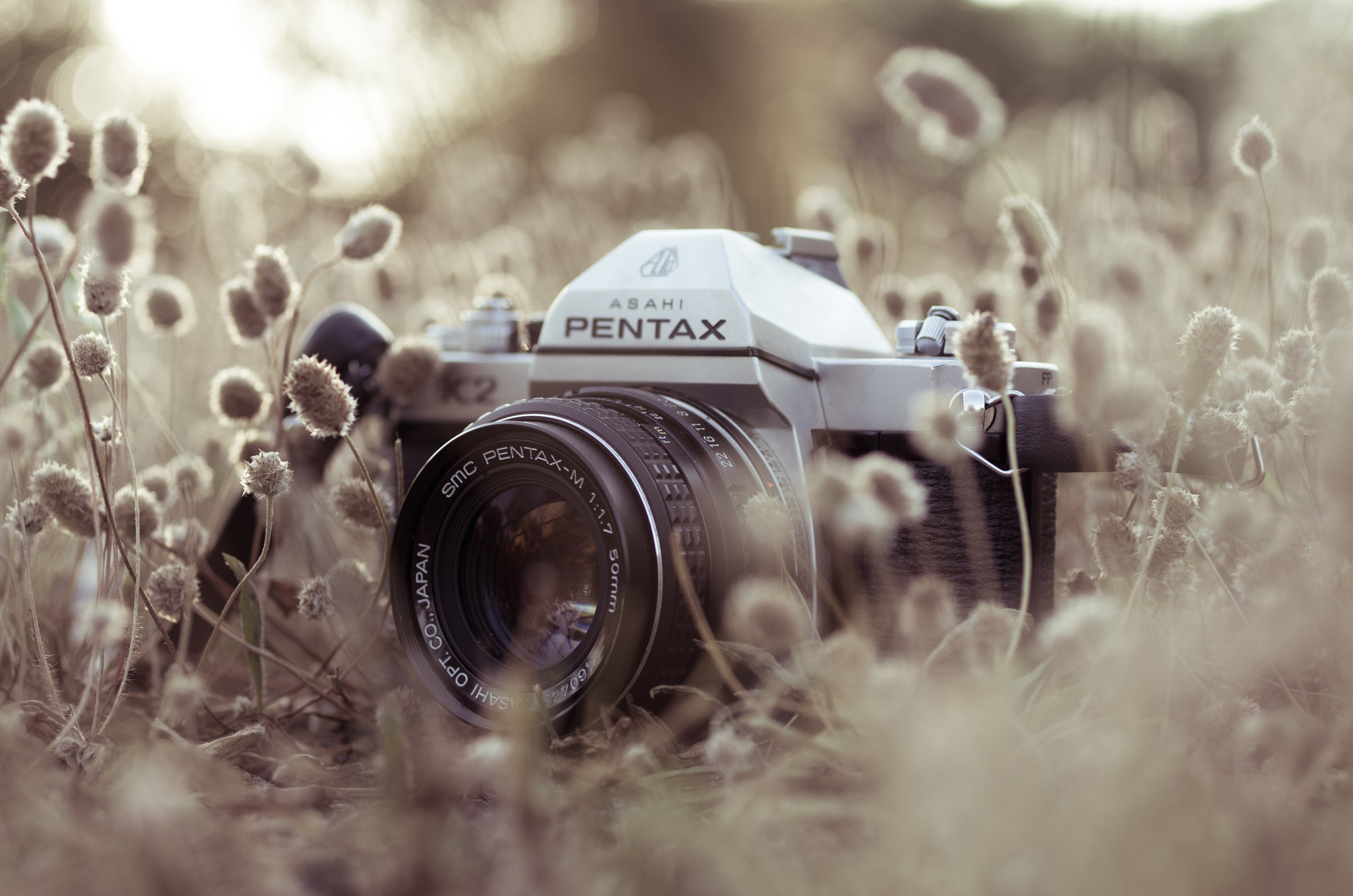 Pentax K-5 + Pentax smc D-FA 50mm F2.8 Macro sample photo. Underrated legend photography