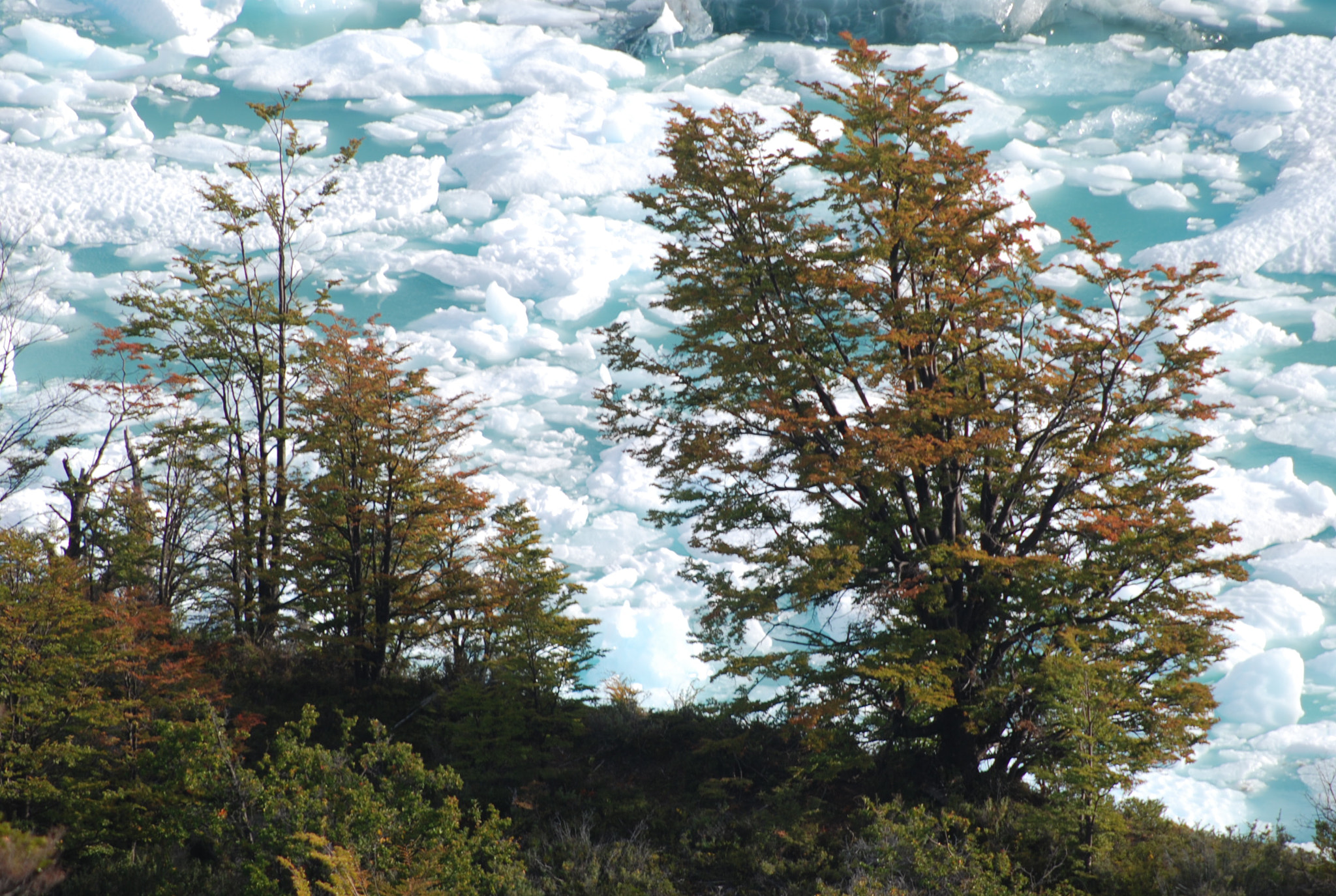 Nikon D80 + AF Nikkor 70-210mm f/4-5.6 sample photo. Glaciar perito moreno - patagonia argentina photography