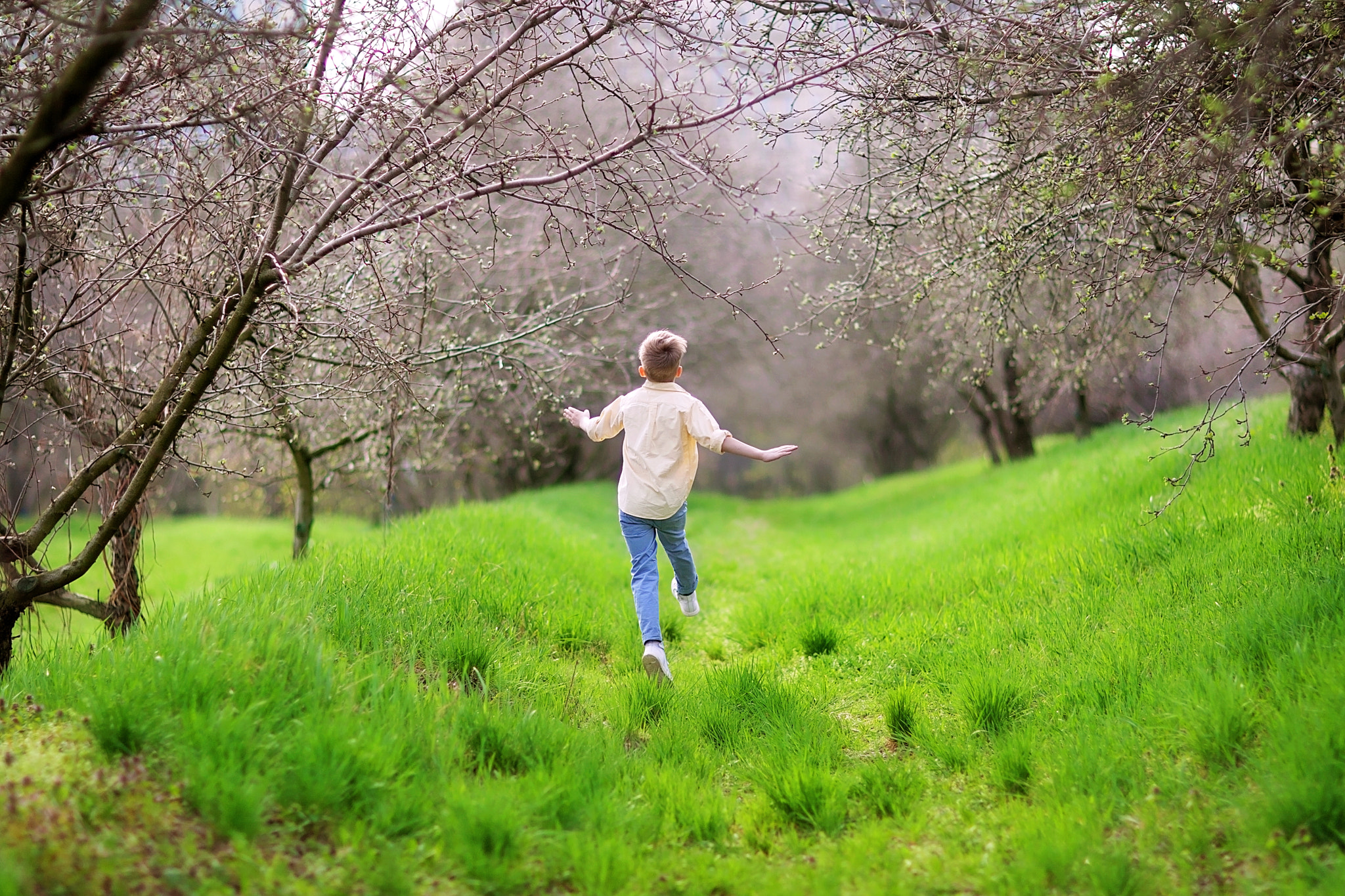 Canon EOS-1D Mark III sample photo. Spring! photography