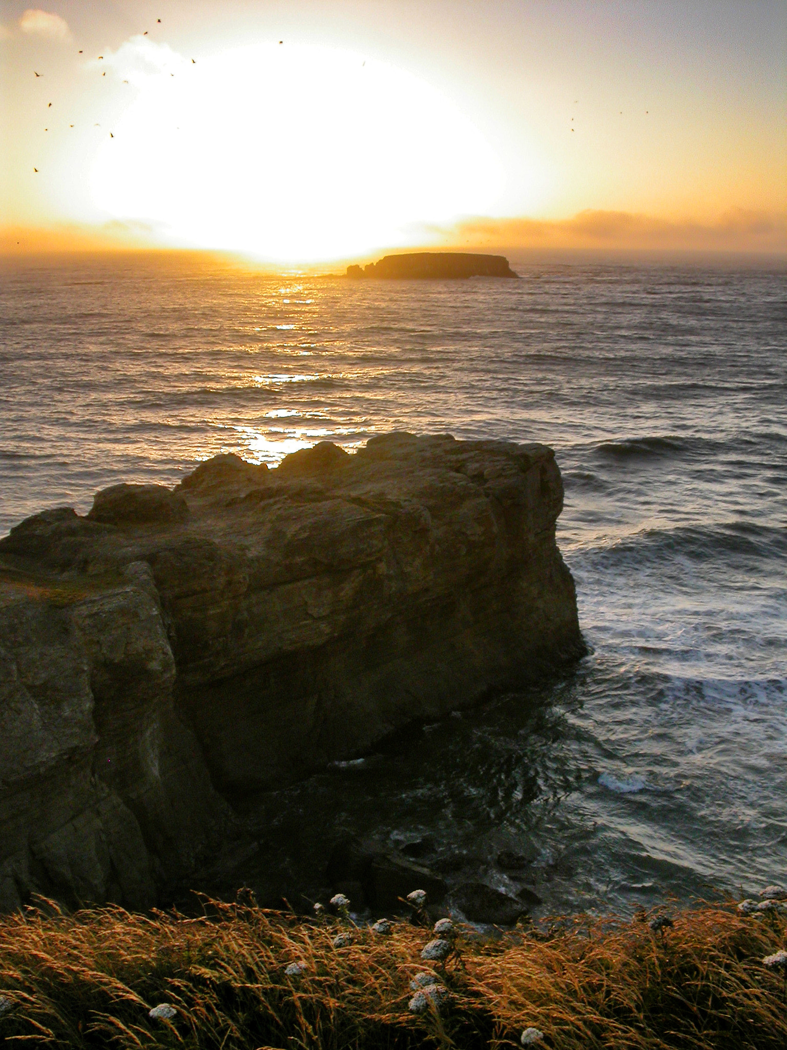 Nikon E4500 sample photo. Oregon coast, near astoria photography