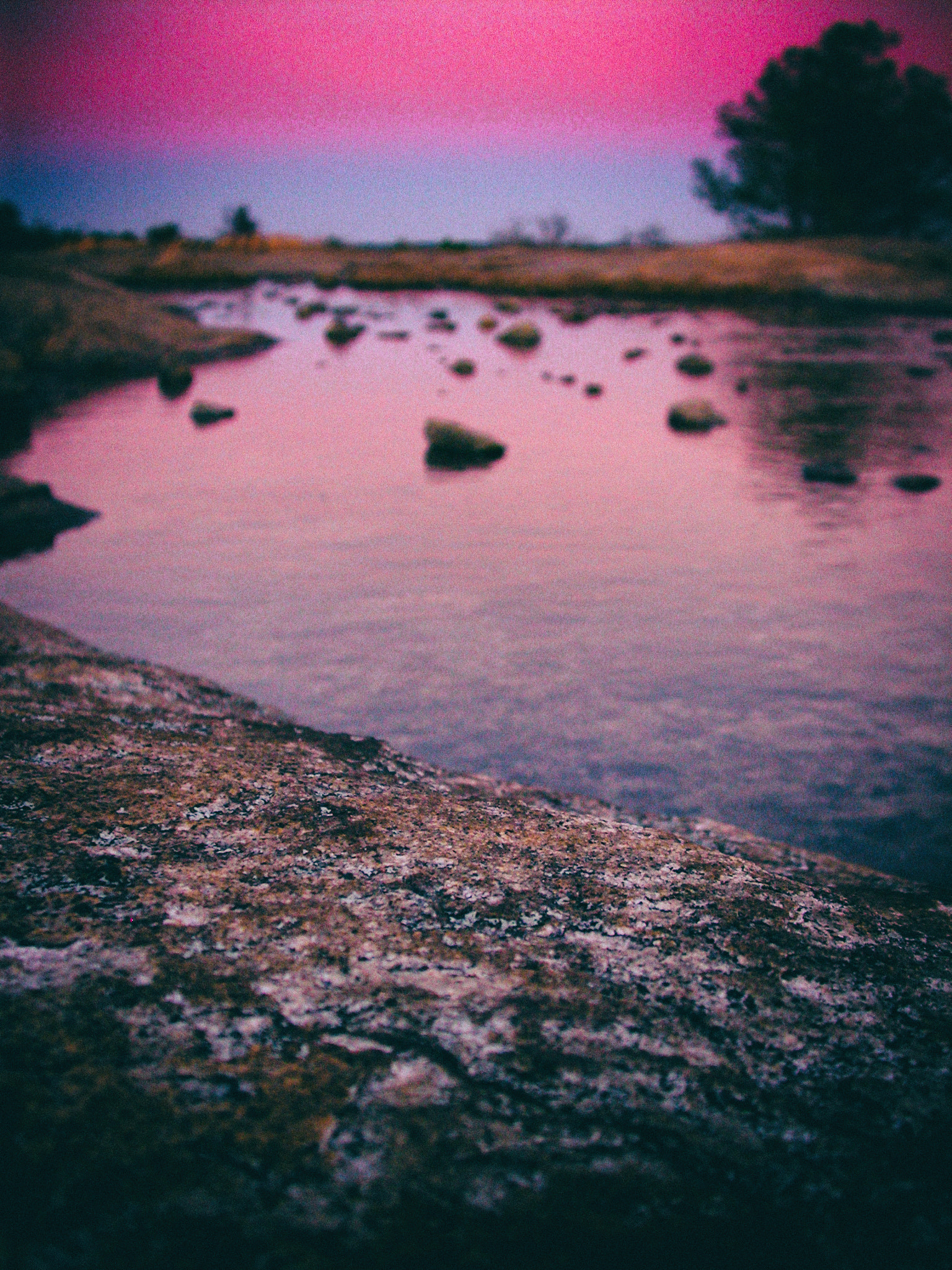 Nikon E4500 sample photo. Vernal pool, arabia mountain photography