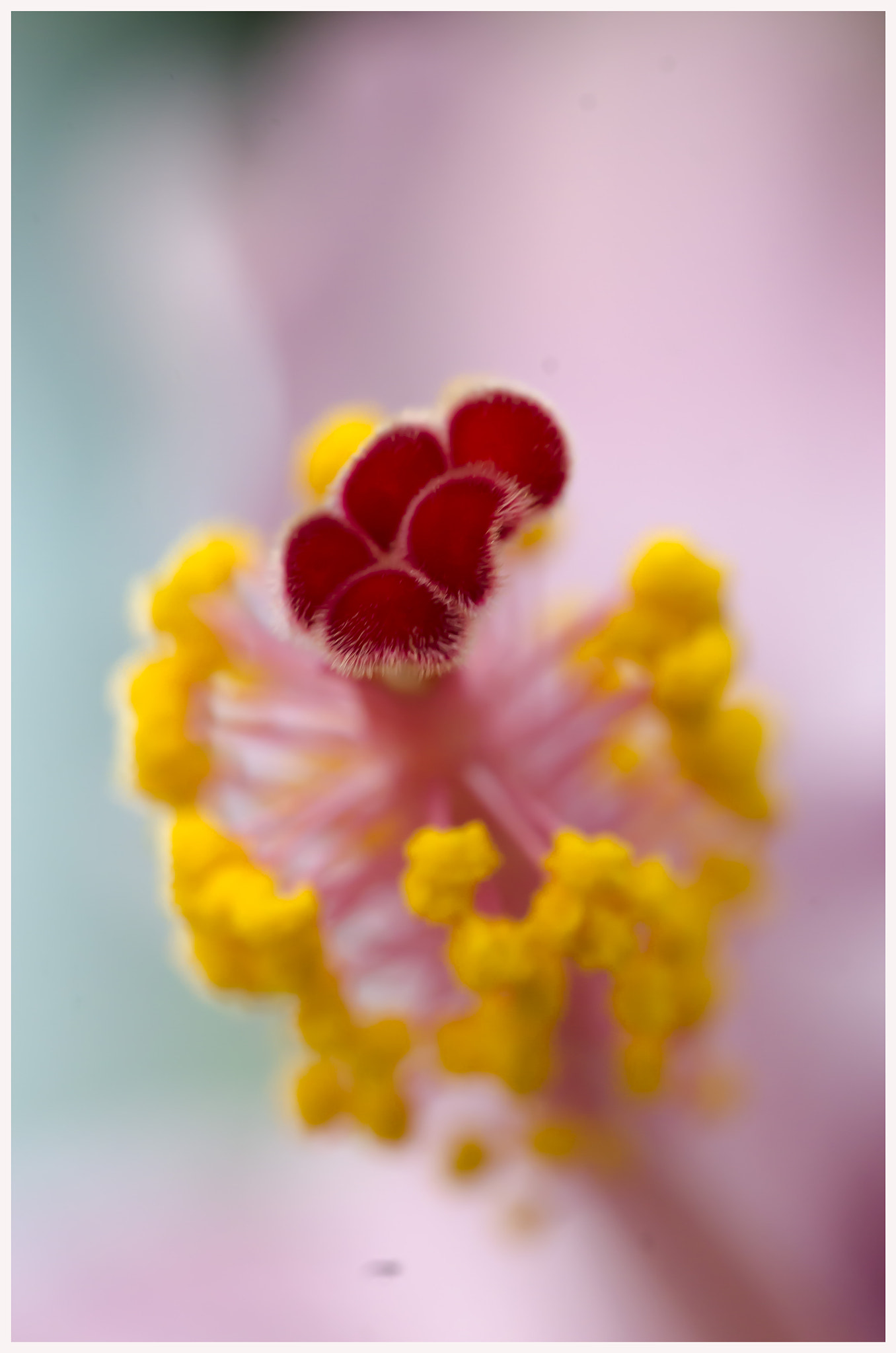 Sigma 150mm F2.8 EX DG OS Macro HSM sample photo. Red dot..... photography