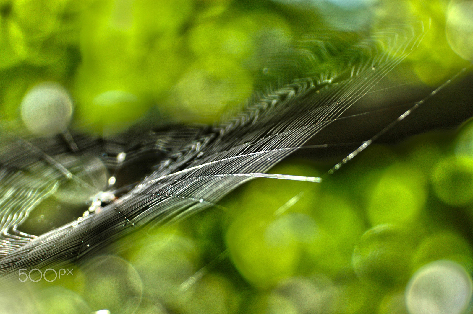 Nikon D70s sample photo. Stratagem photography