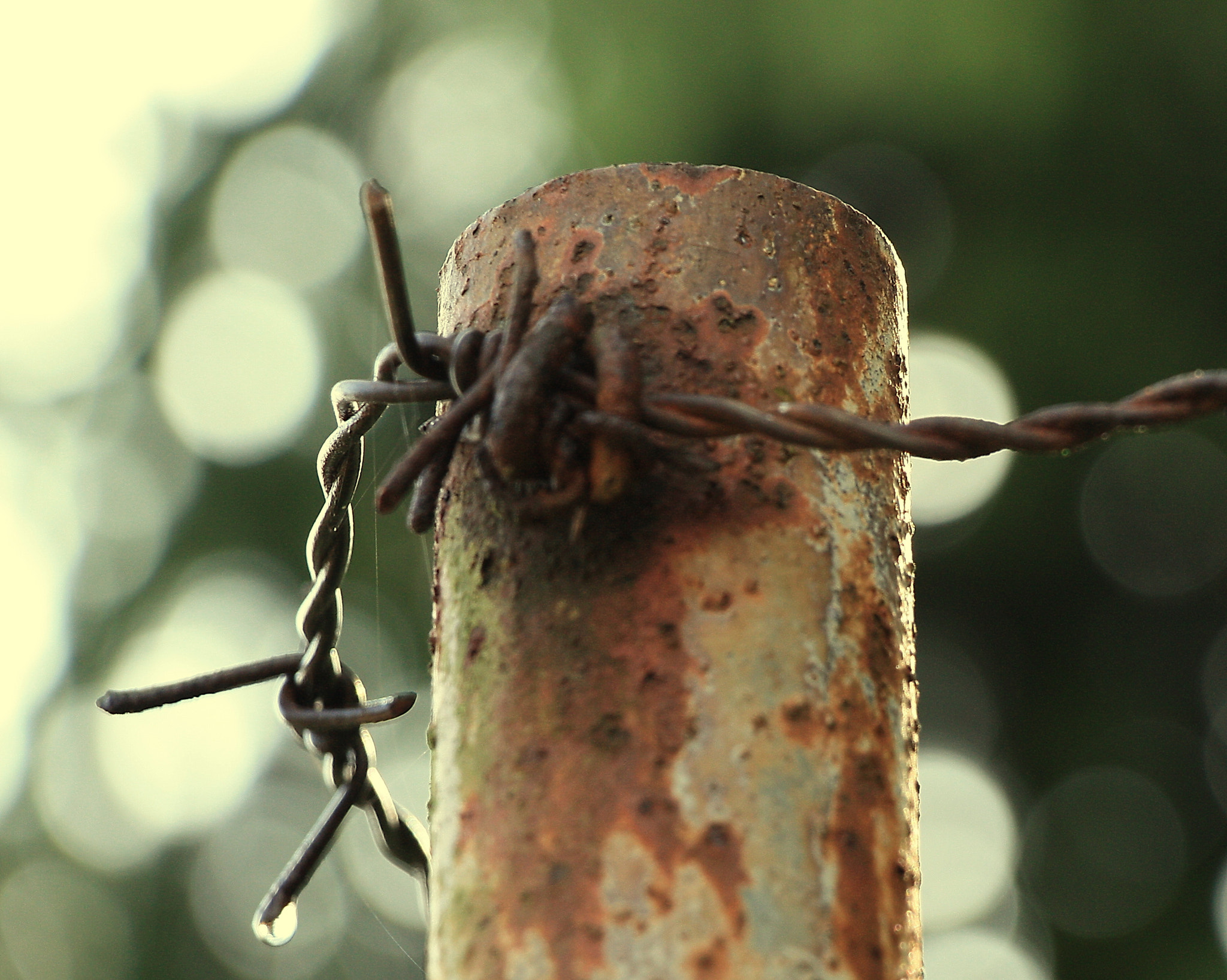 Canon EF-S 18-135mm F3.5-5.6 IS STM sample photo. Rust and bokeh photography
