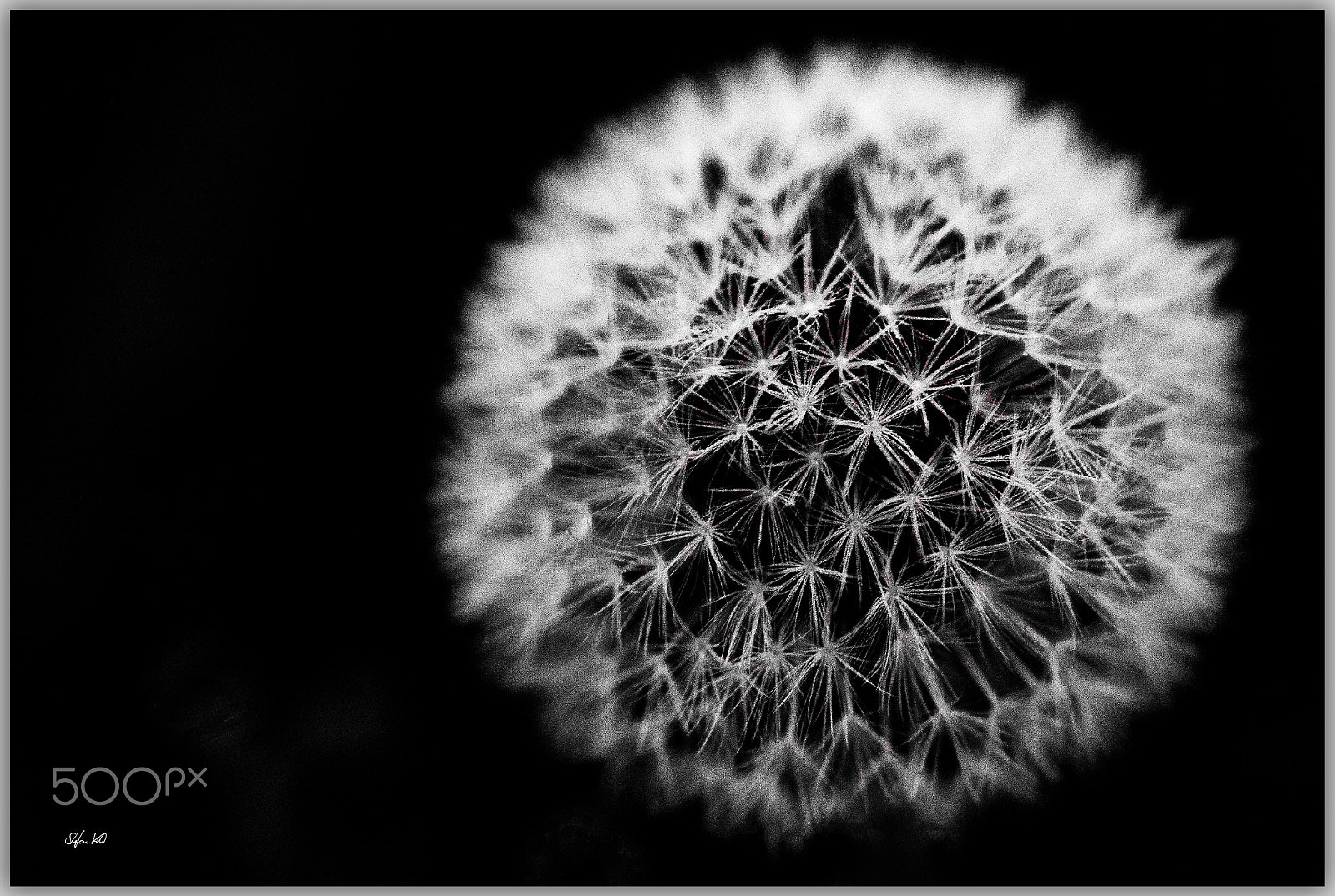 Canon EOS 600D (Rebel EOS T3i / EOS Kiss X5) + Sigma 105mm F2.8 EX DG Macro sample photo. - another world - photography